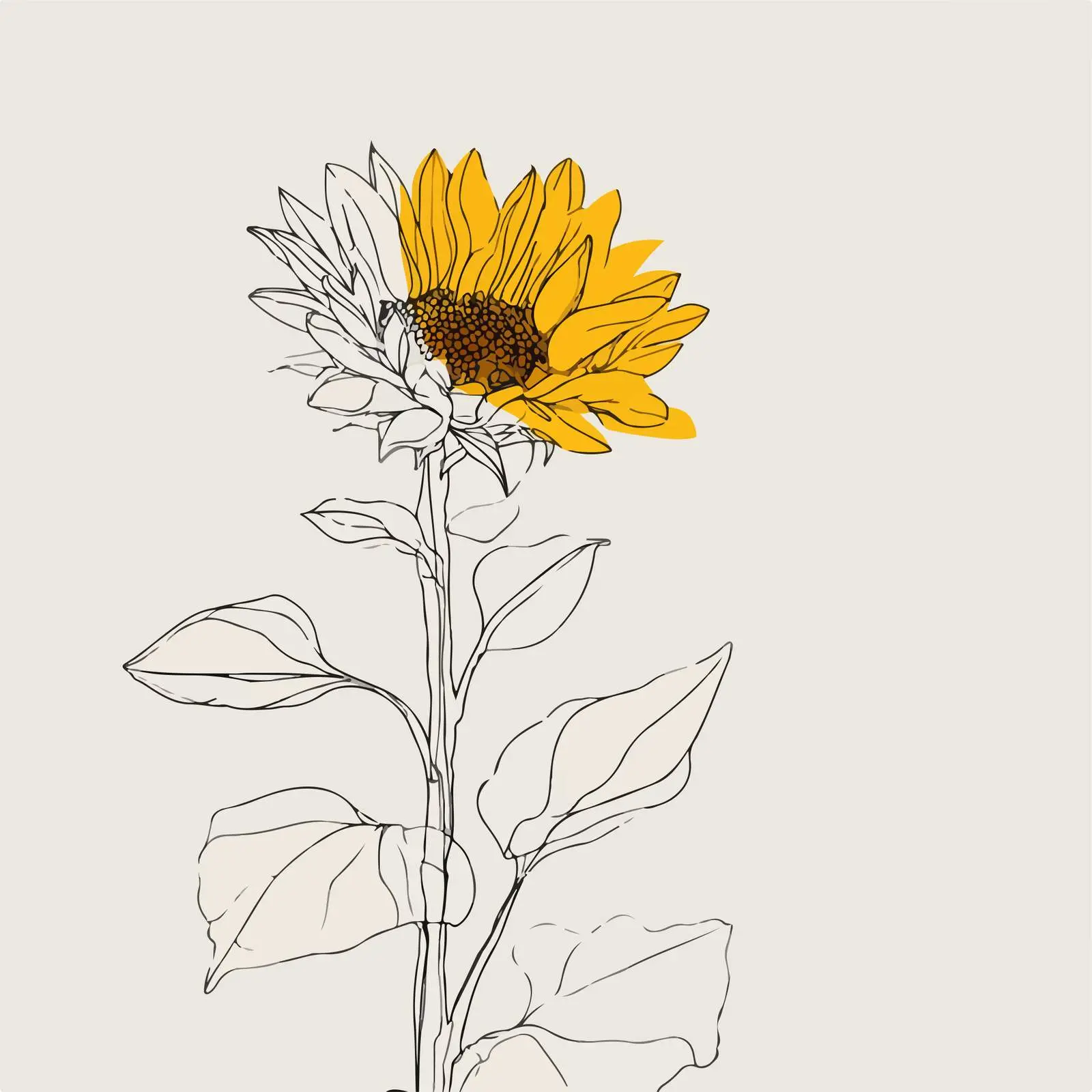 Sunflower Line Art — free download from Dotvec