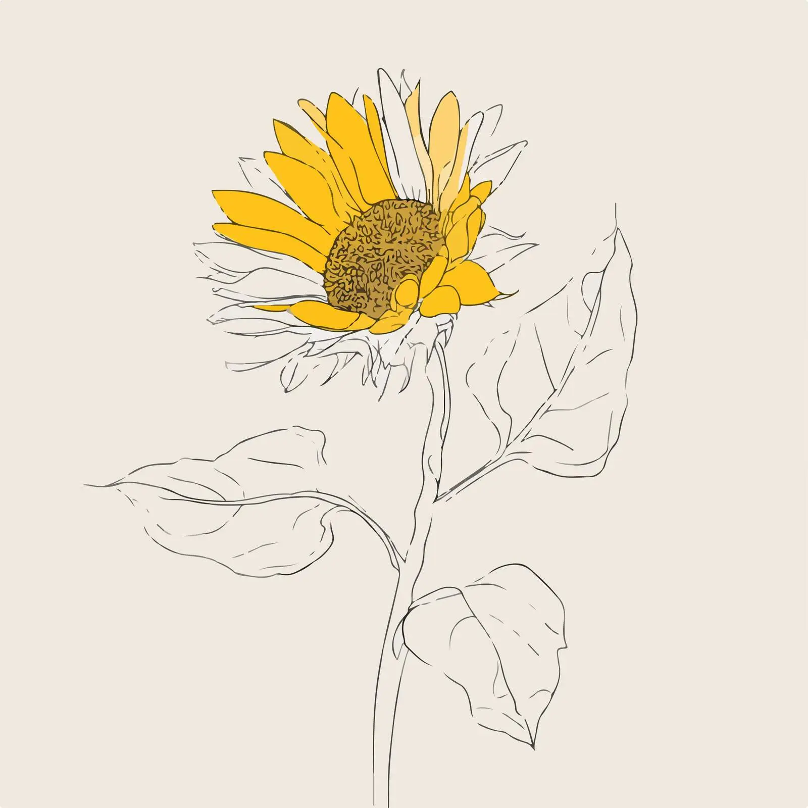 Sunflower Line Art — free download from Dotvec