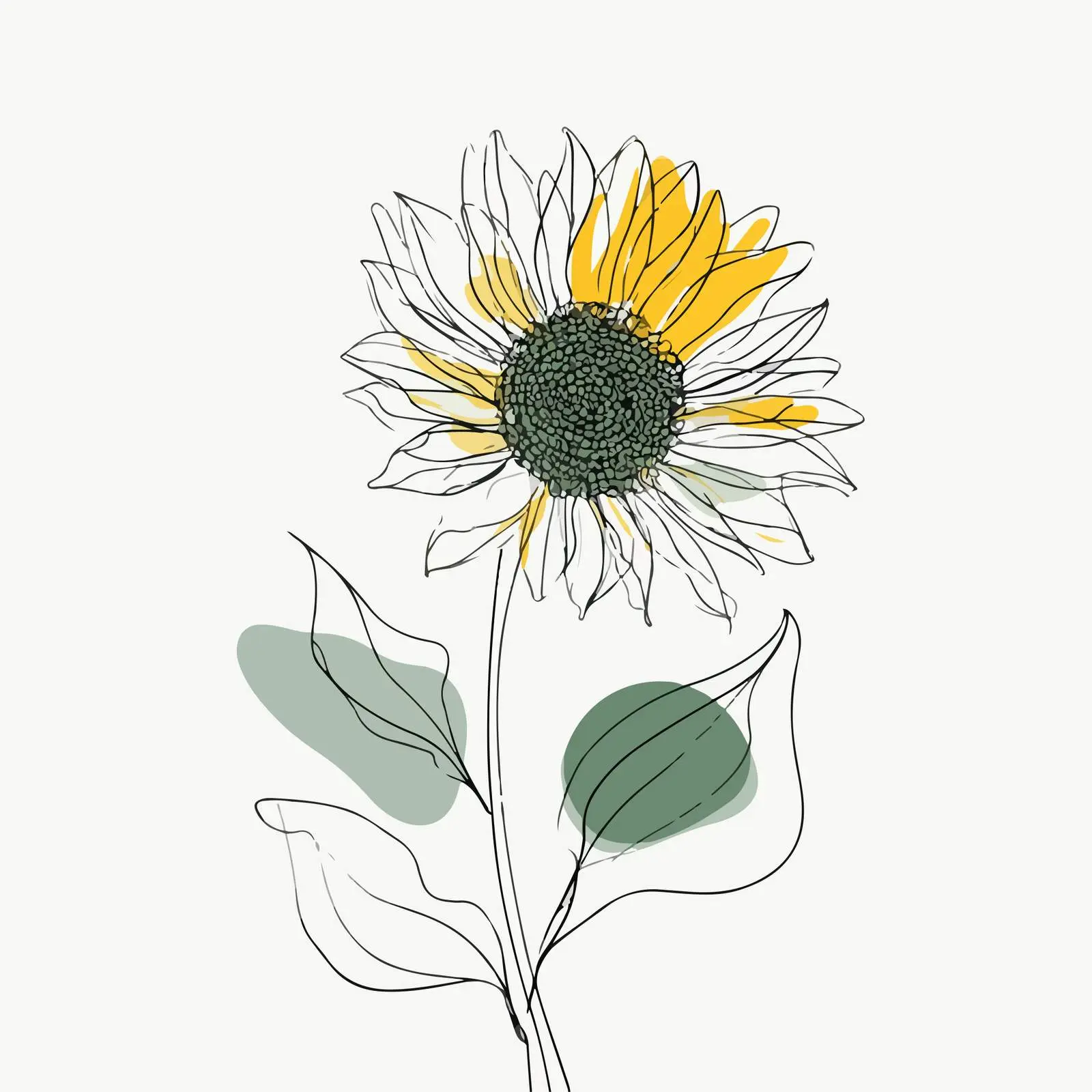 Sunflower Line Art Illustration — free download from Dotvec