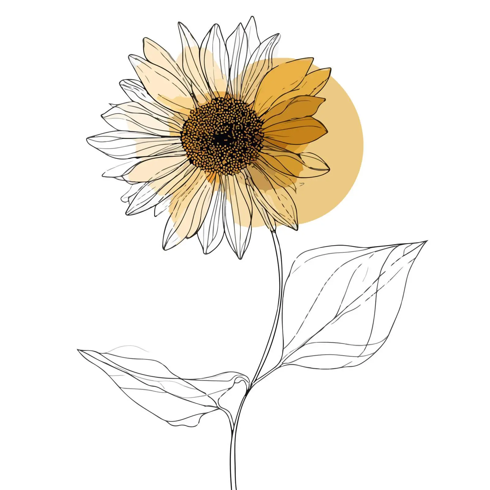 Sunflower Line Art Illustration — free download from Dotvec