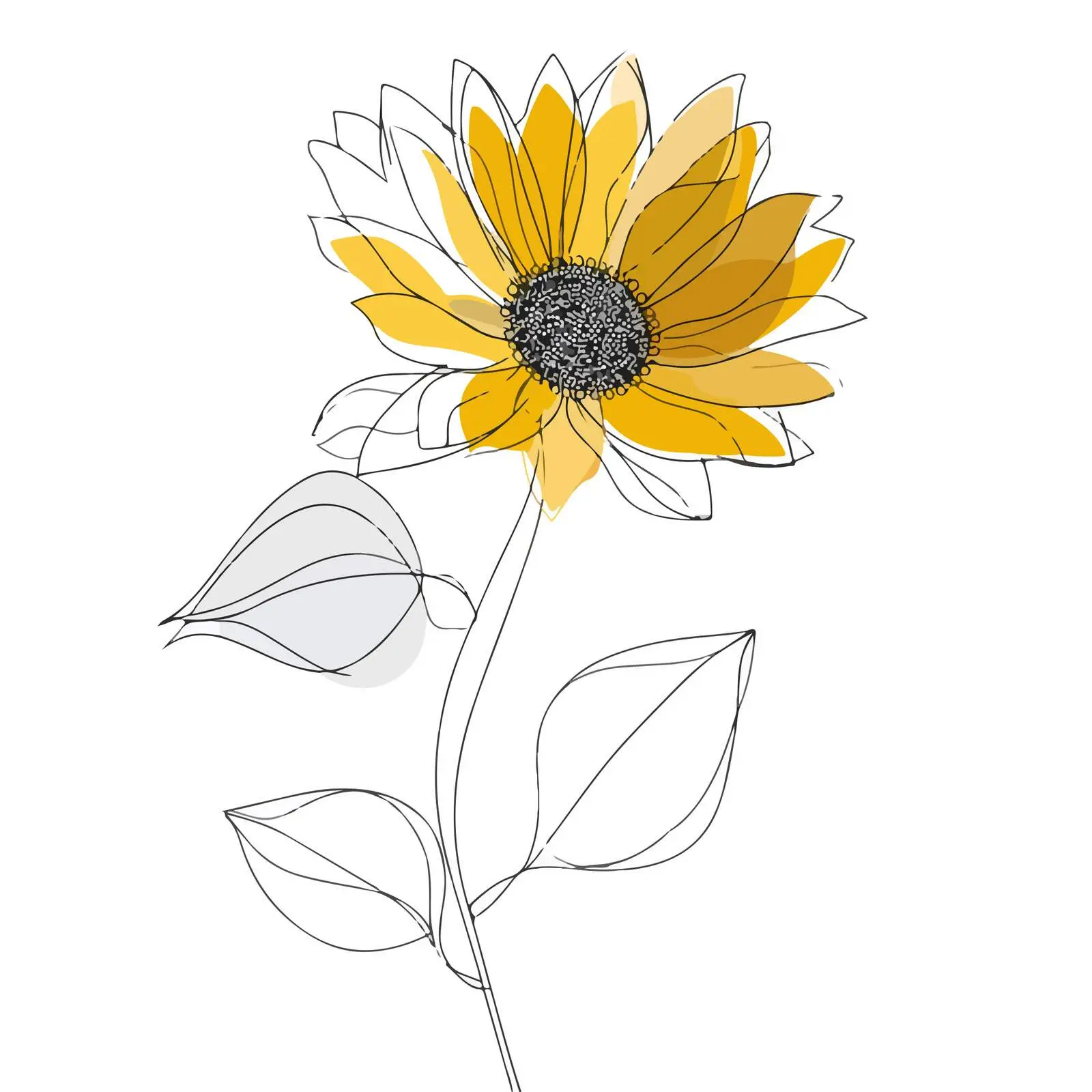 Sunflower Line Art Illustration — free download from Dotvec
