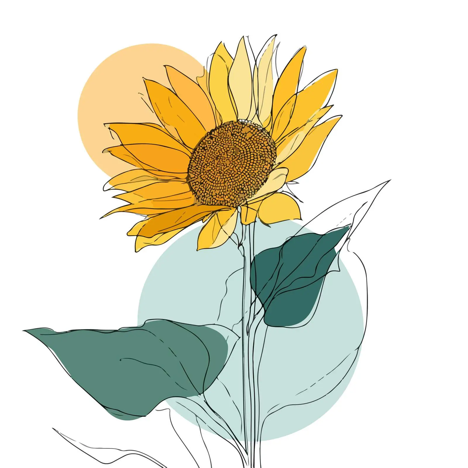Sunflower Line Art — free download from Dotvec
