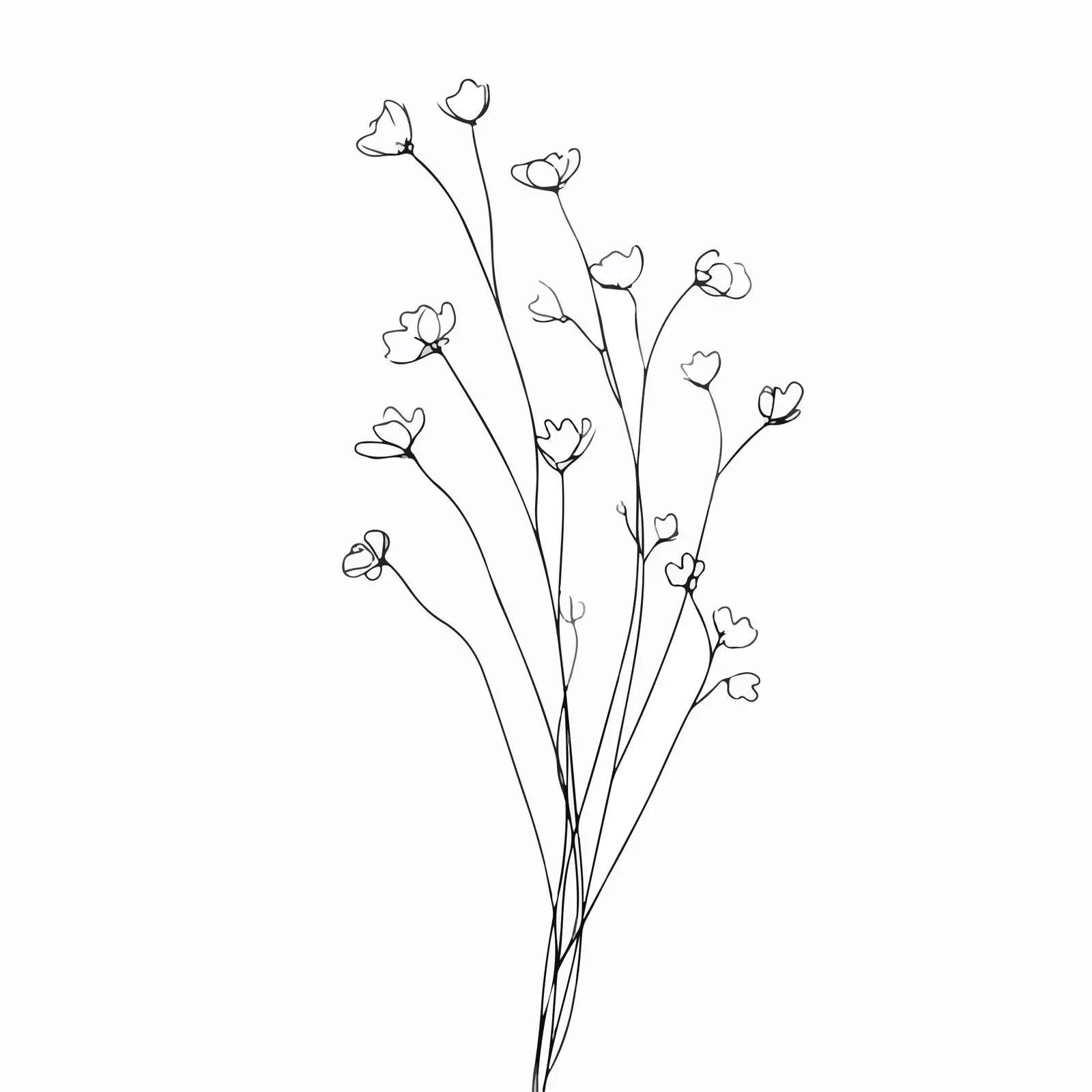 Wildflower Line Art Illustration — free download from Dotvec