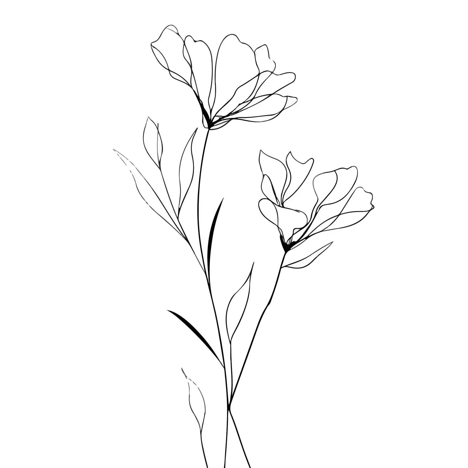 Minimal Wildflower Line Art — free download from Dotvec