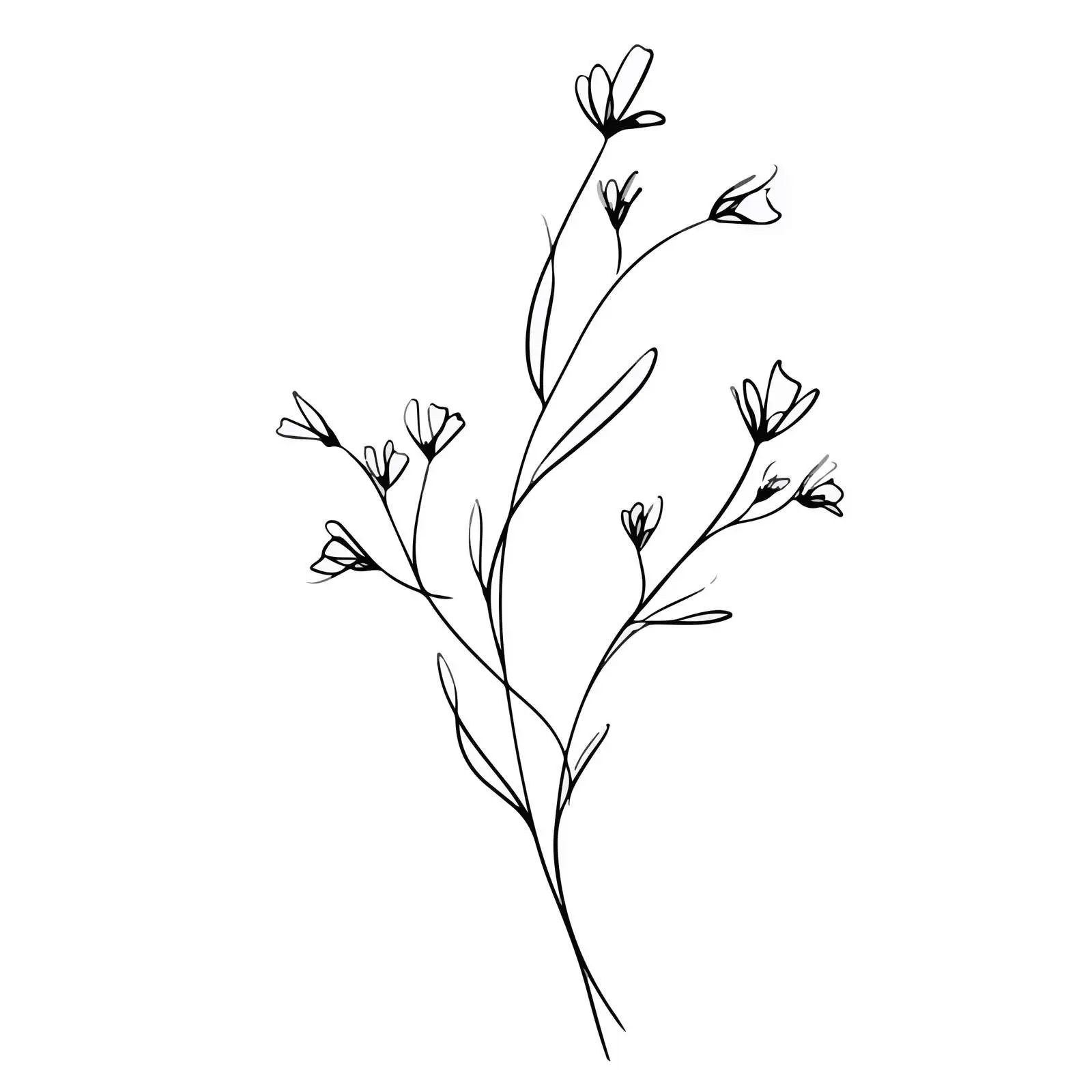 Elegant Wildflower Line Art — free download from Dotvec