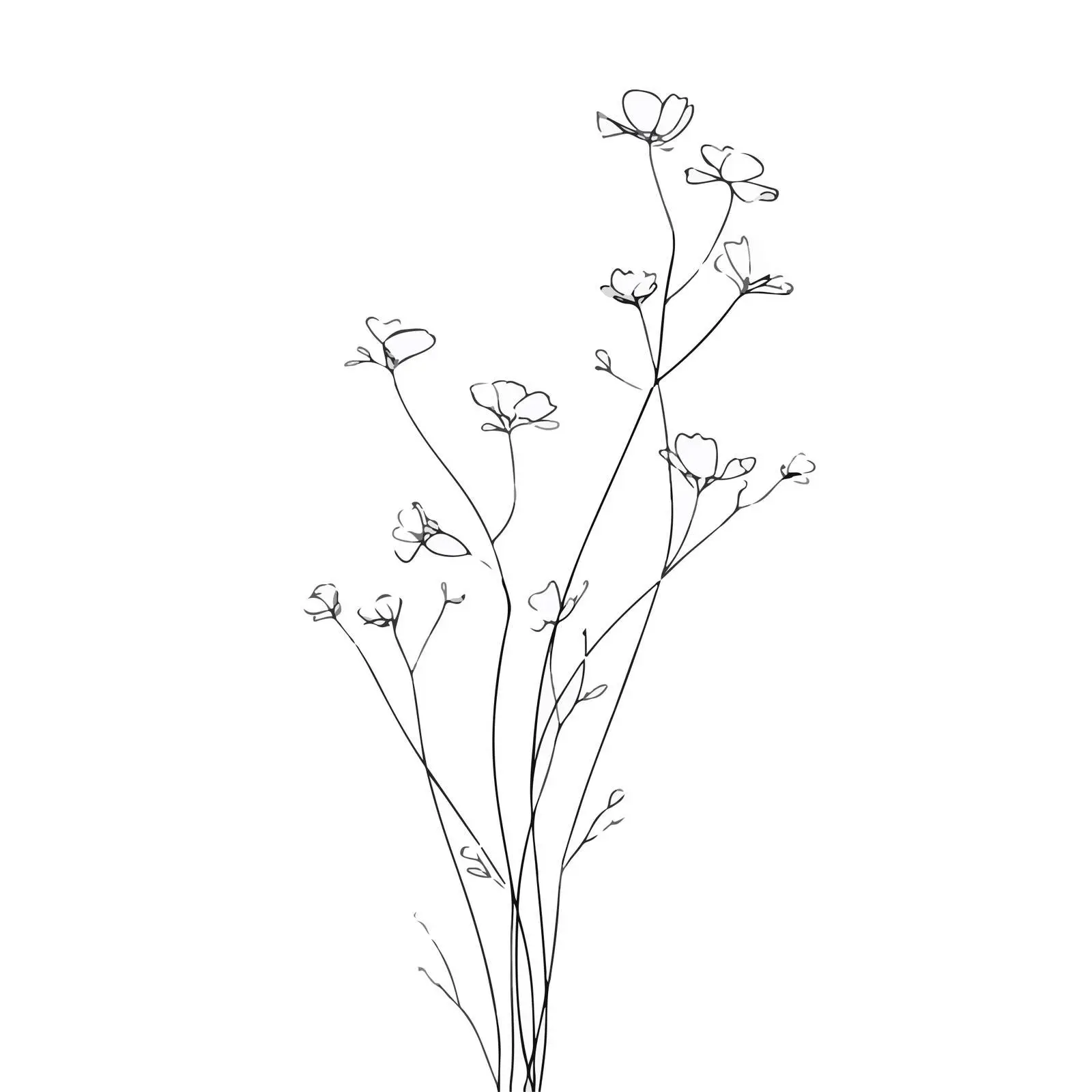 Elegant Wildflower Sprigs Line Art — free download from Dotvec