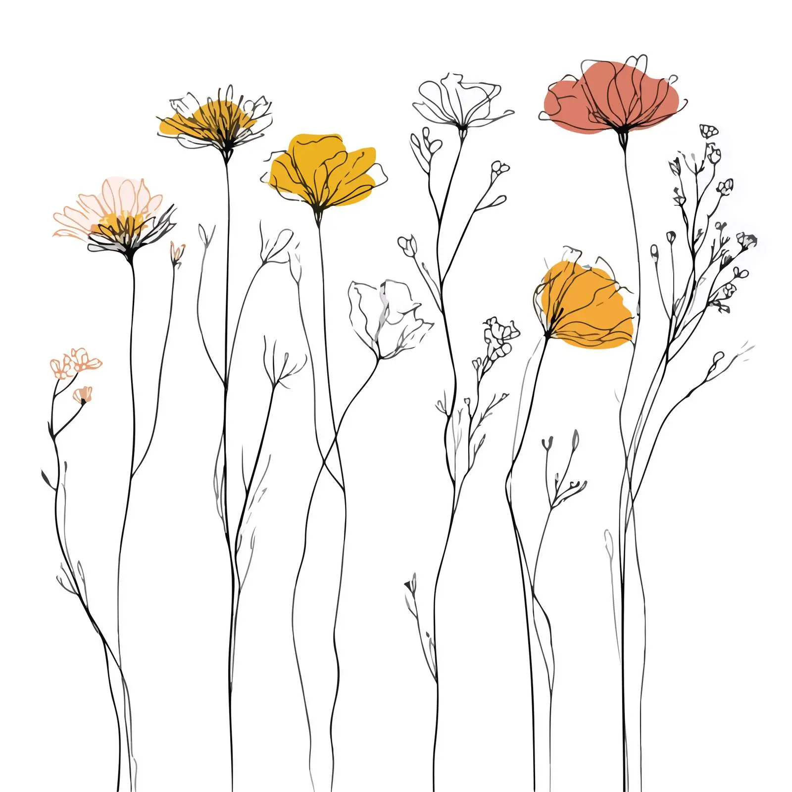 Elegant Wildflower Line Art Illustration — free download from Dotvec