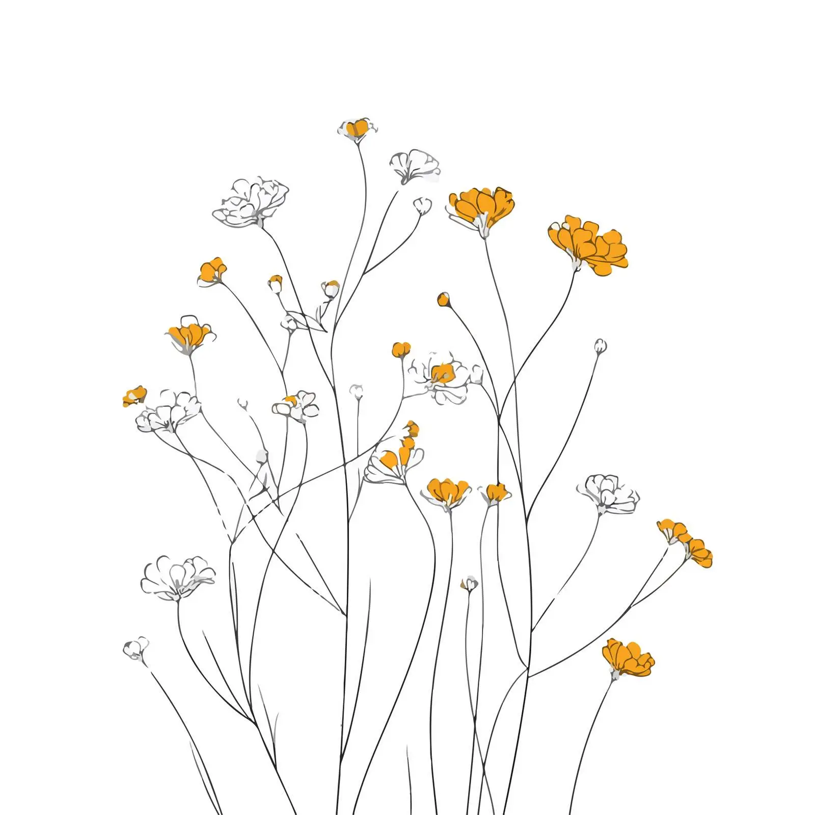 Elegant Wildflower Line Art Illustration — free download from Dotvec