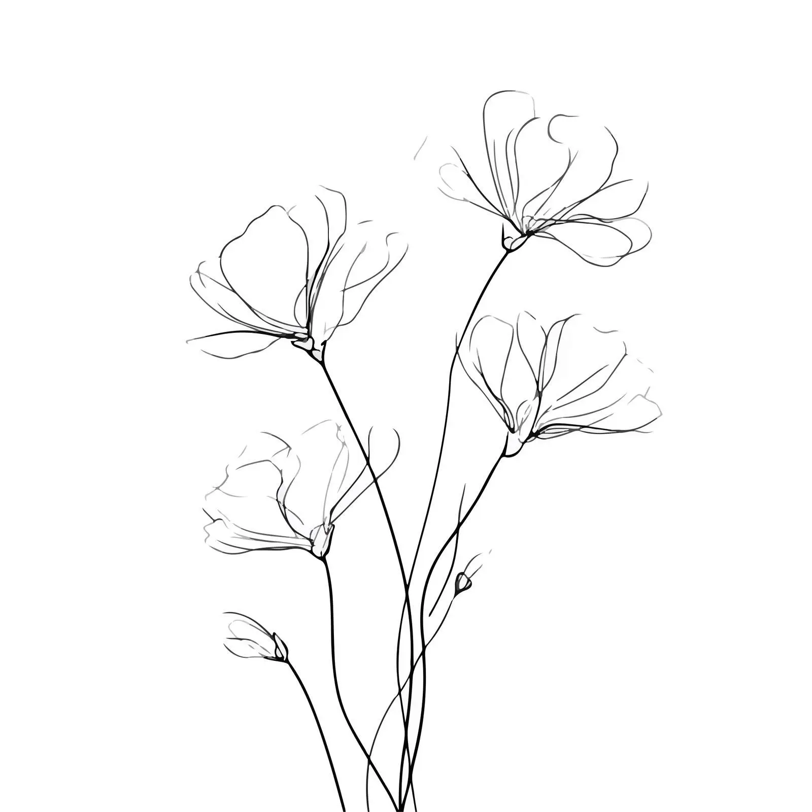 Elegant Wildflower Line Art Illustration — free download from Dotvec