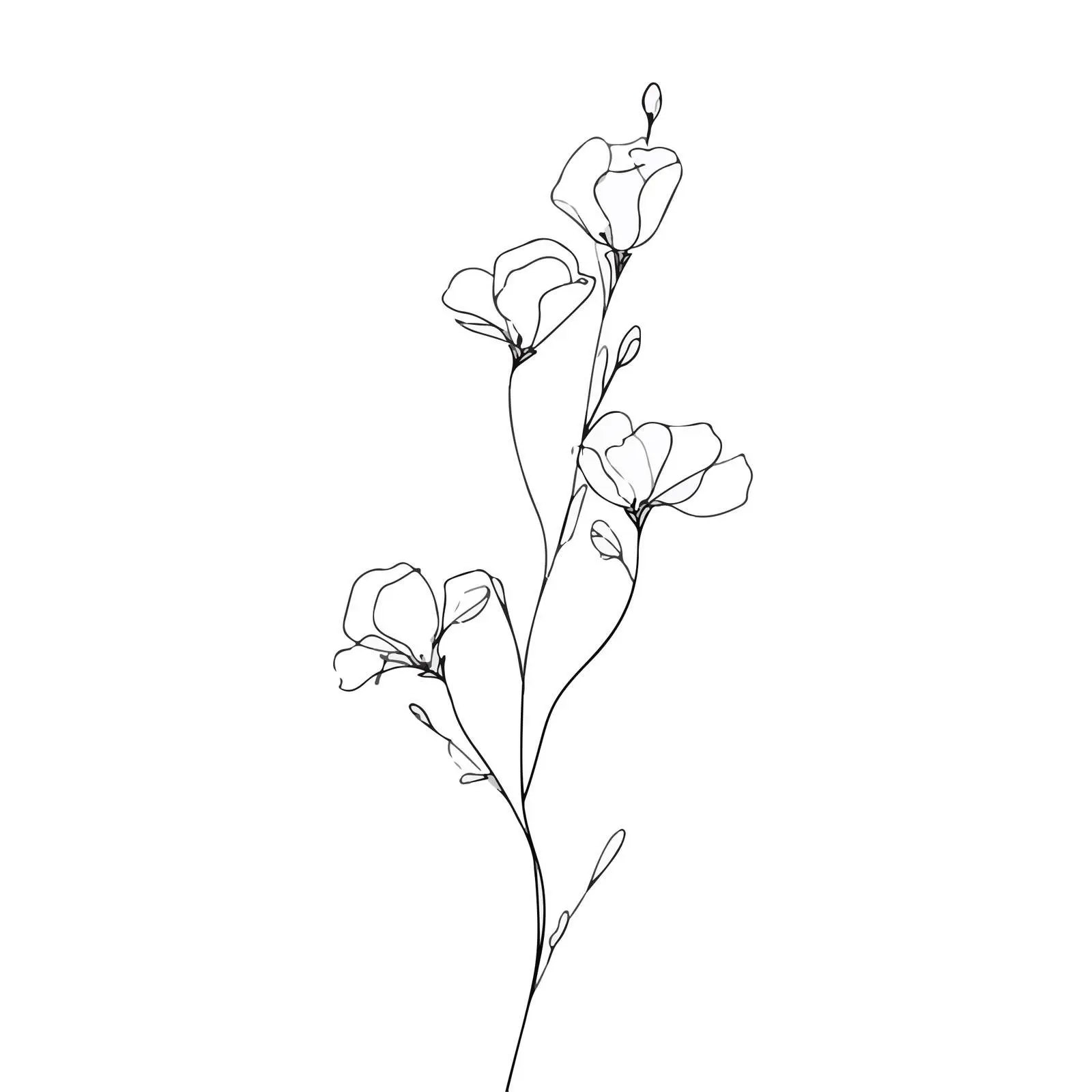 Elegant Wildflower Line Art Illustration — free download from Dotvec