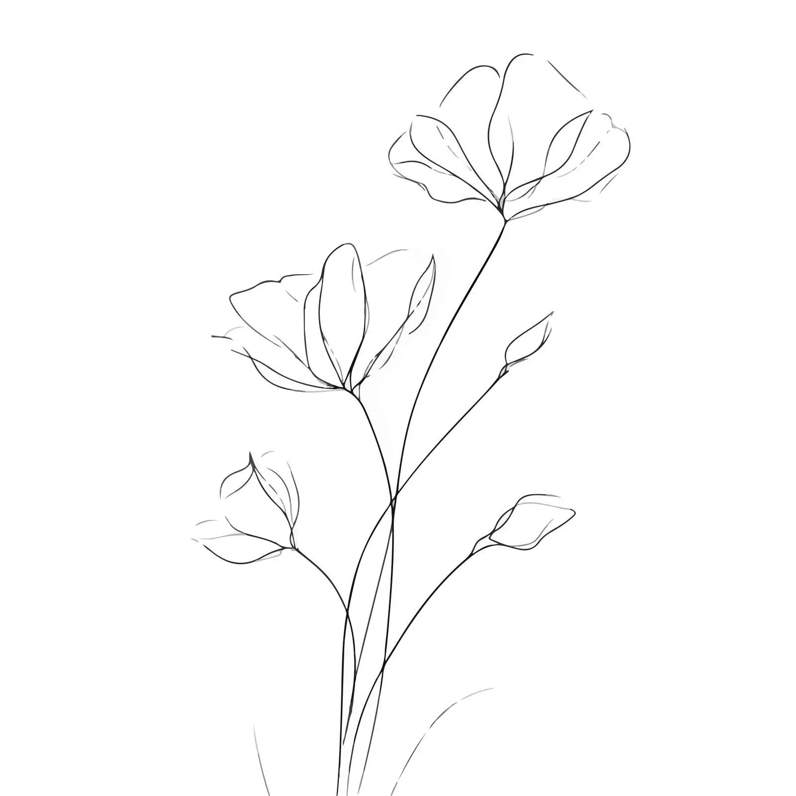Minimalistic Wildflower Line Art Illustration — free download from Dotvec