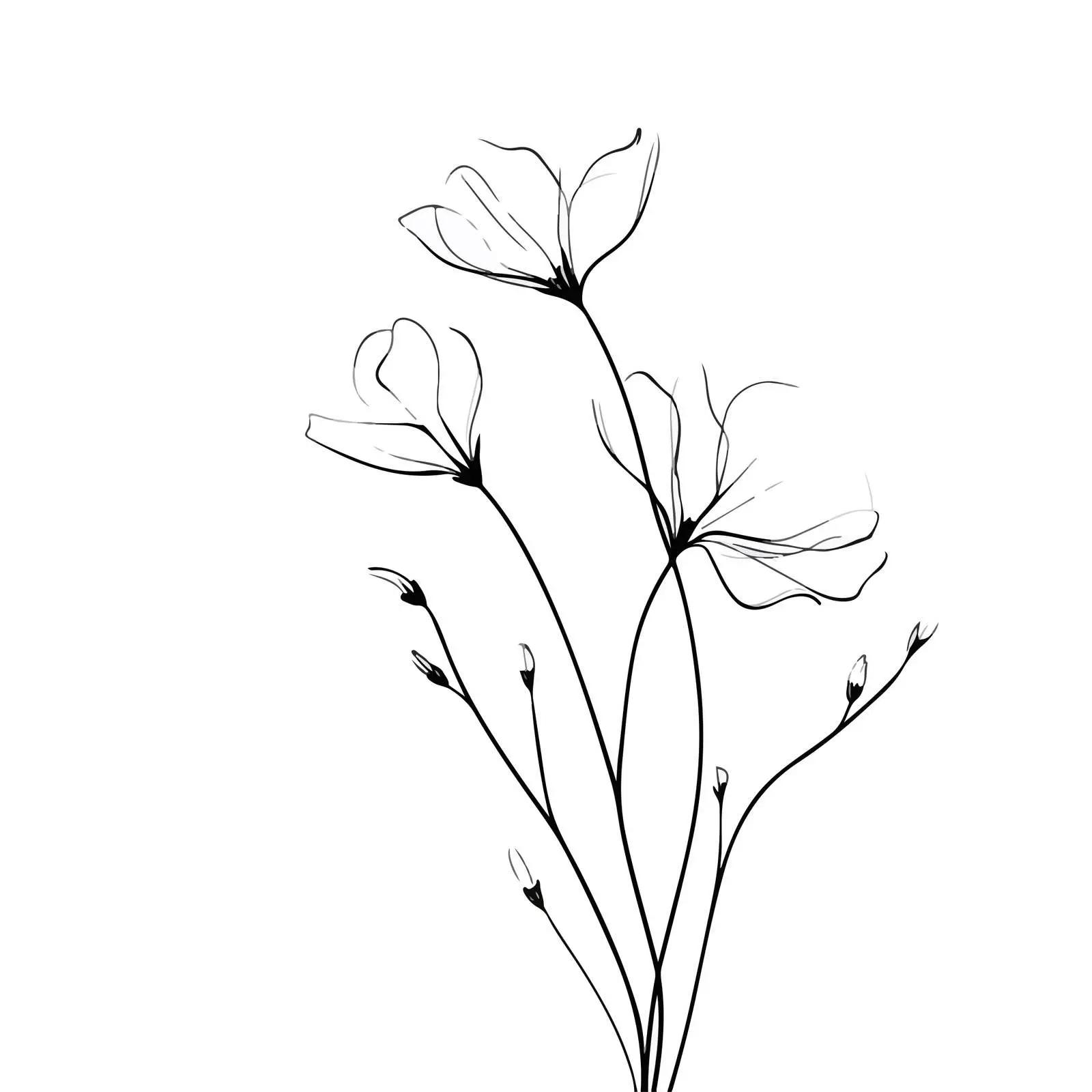 Wildflower Sprigs Line Art — free download from Dotvec