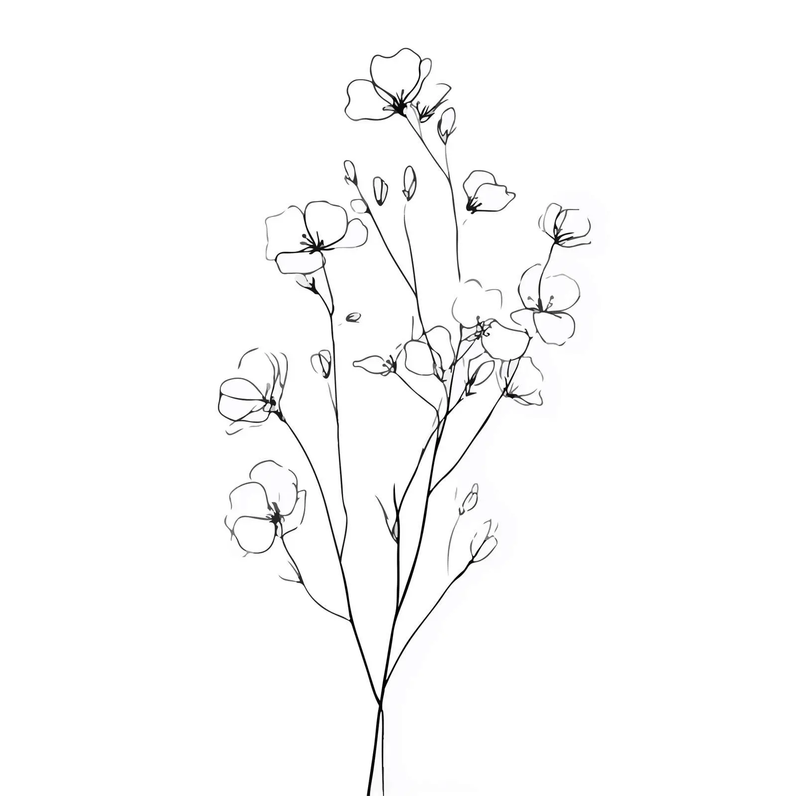 Elegant Wildflower Line Art — free download from Dotvec