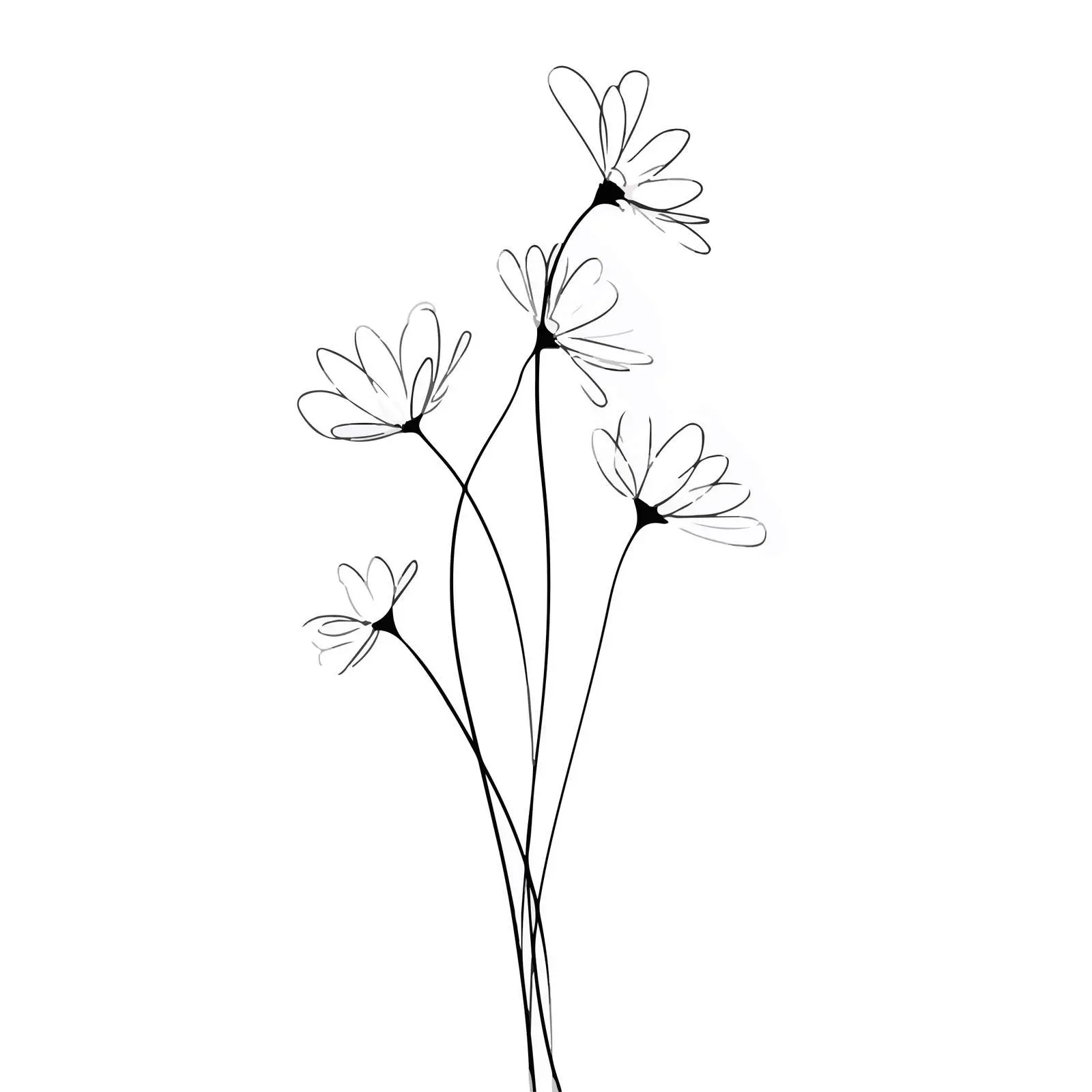 Wildflower Line Art Illustration — free download from Dotvec