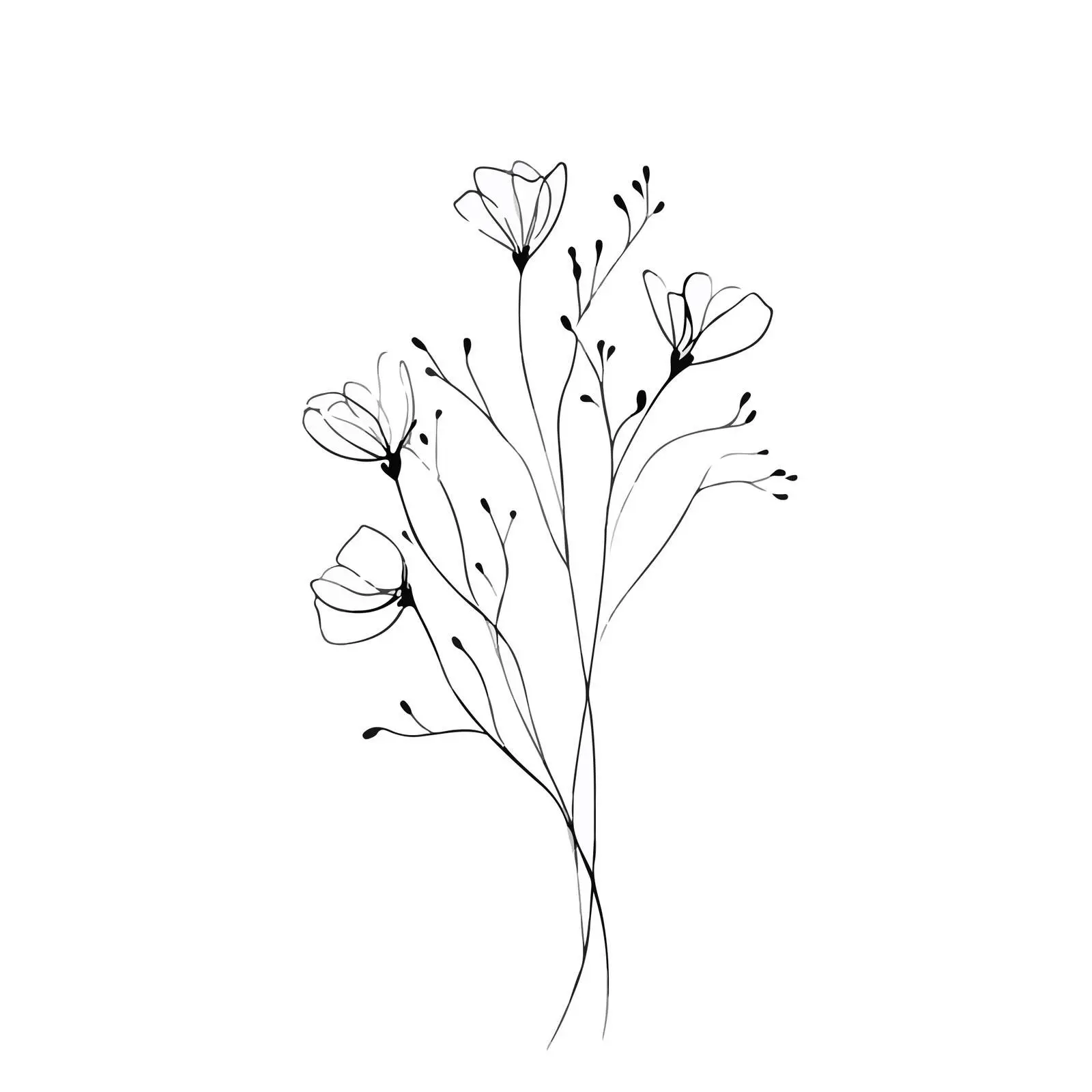 Wildflower Sprigs Line Art Illustration — free download from Dotvec