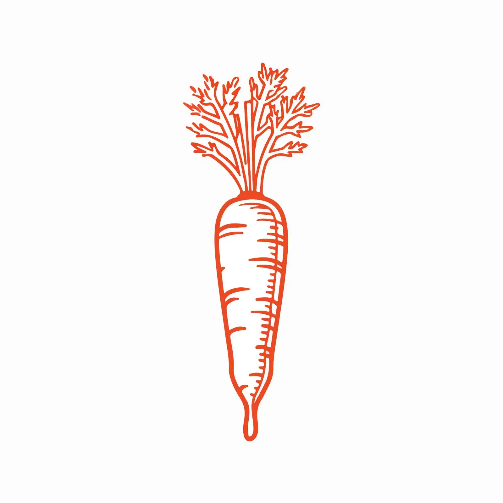 Sleek Carrot Line Art Vector Design — free download from Dotvec