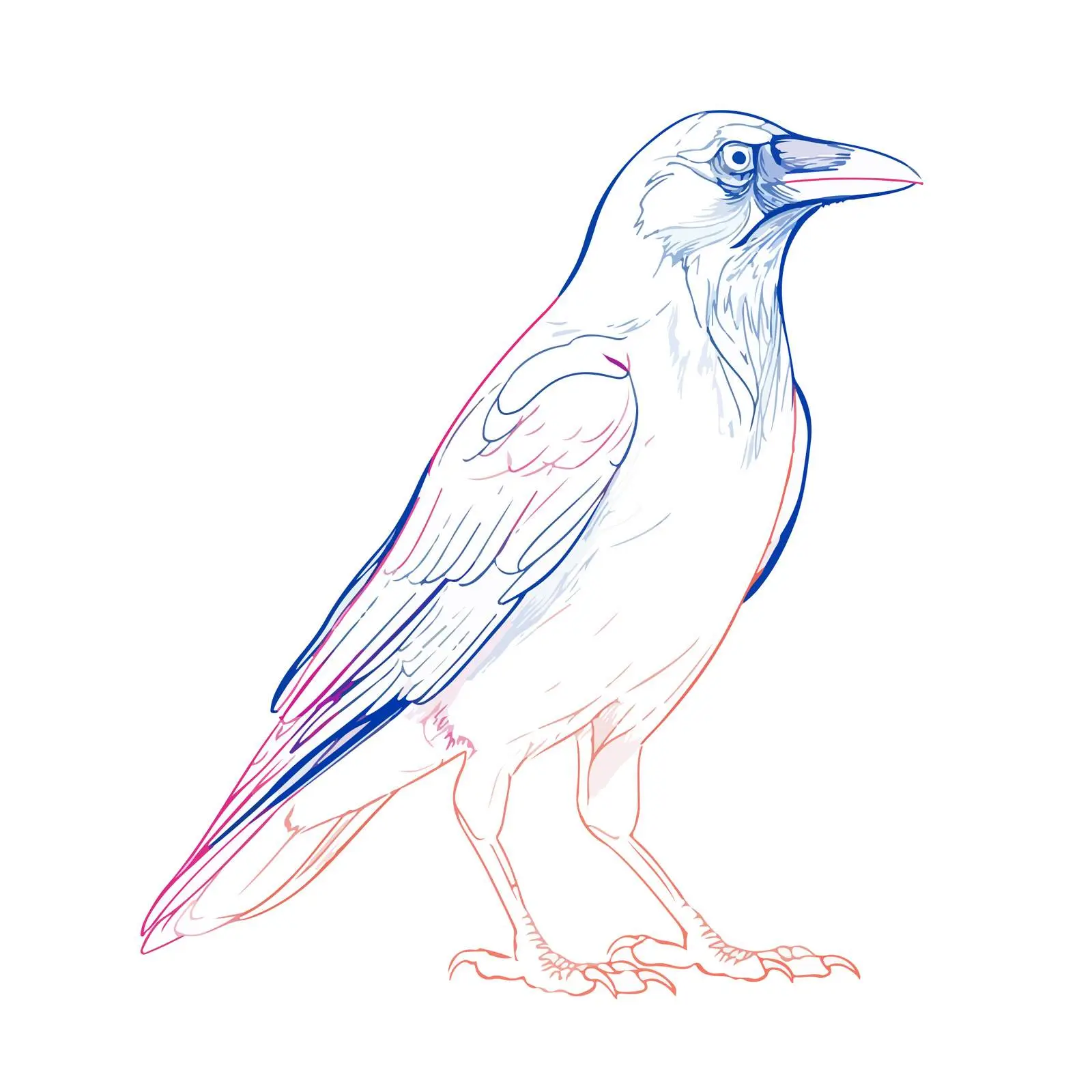 Crow Line Art Vector Illustration — free download from Dotvec