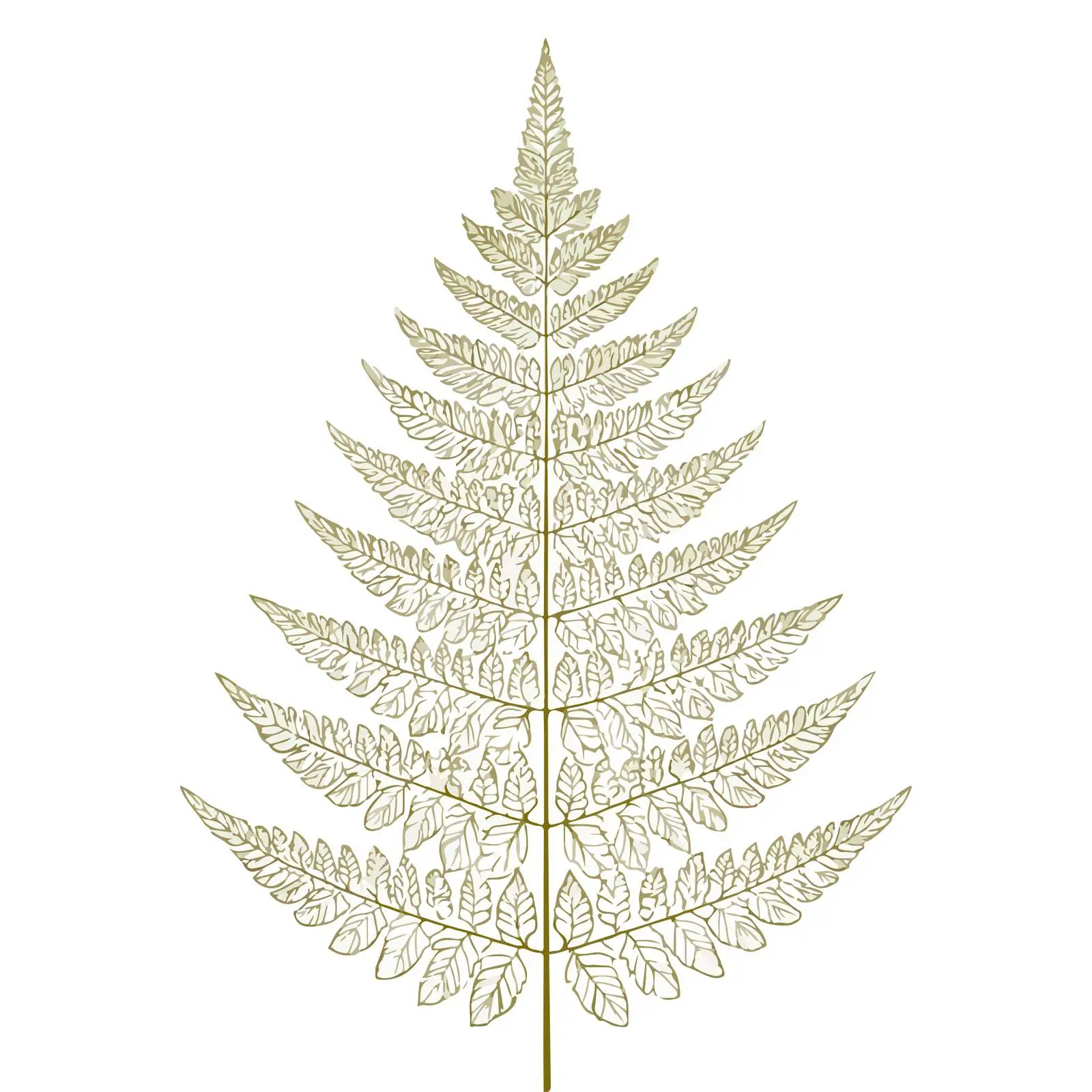 Elegant Fern Line Art Illustration — free download from Dotvec