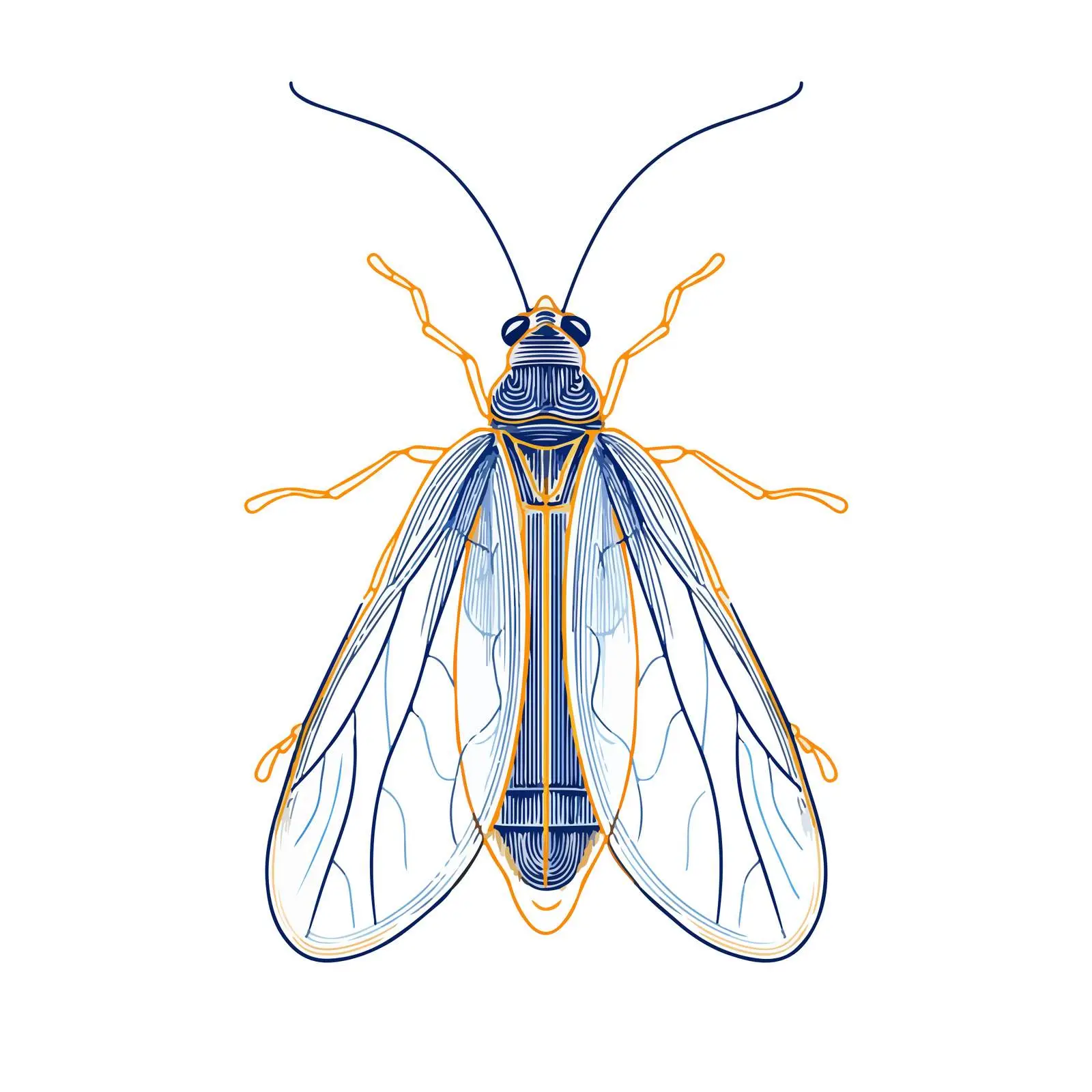 Firefly Line Art Illustration — free download from Dotvec