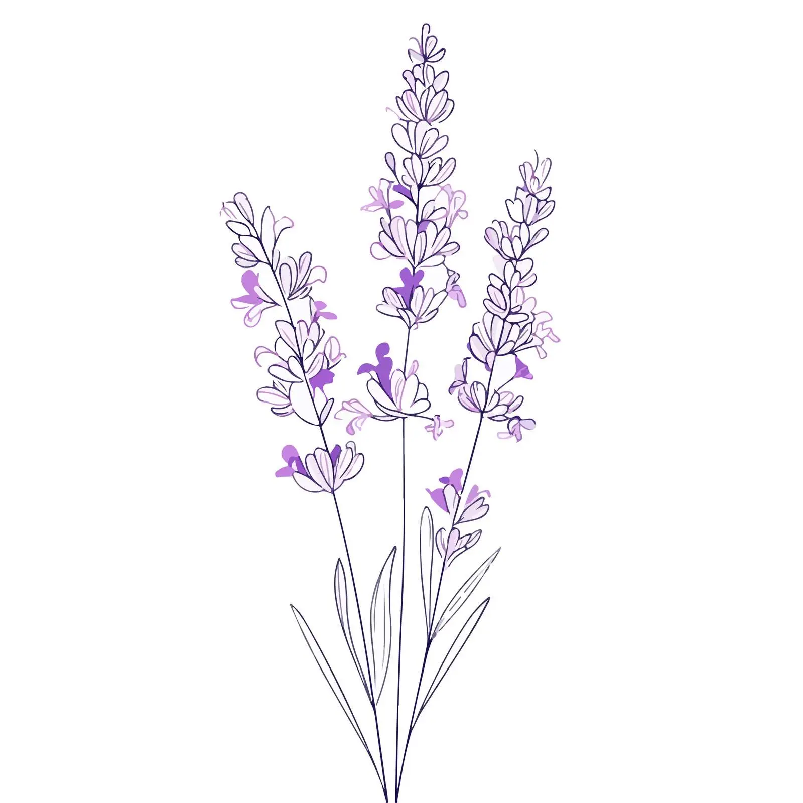 Minimal Lavender Line Art Vector Illustration — free download from Dotvec