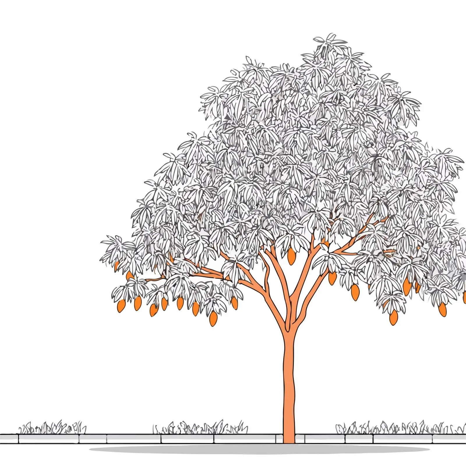 Minimal Mango Tree Vector Illustration — free download from Dotvec