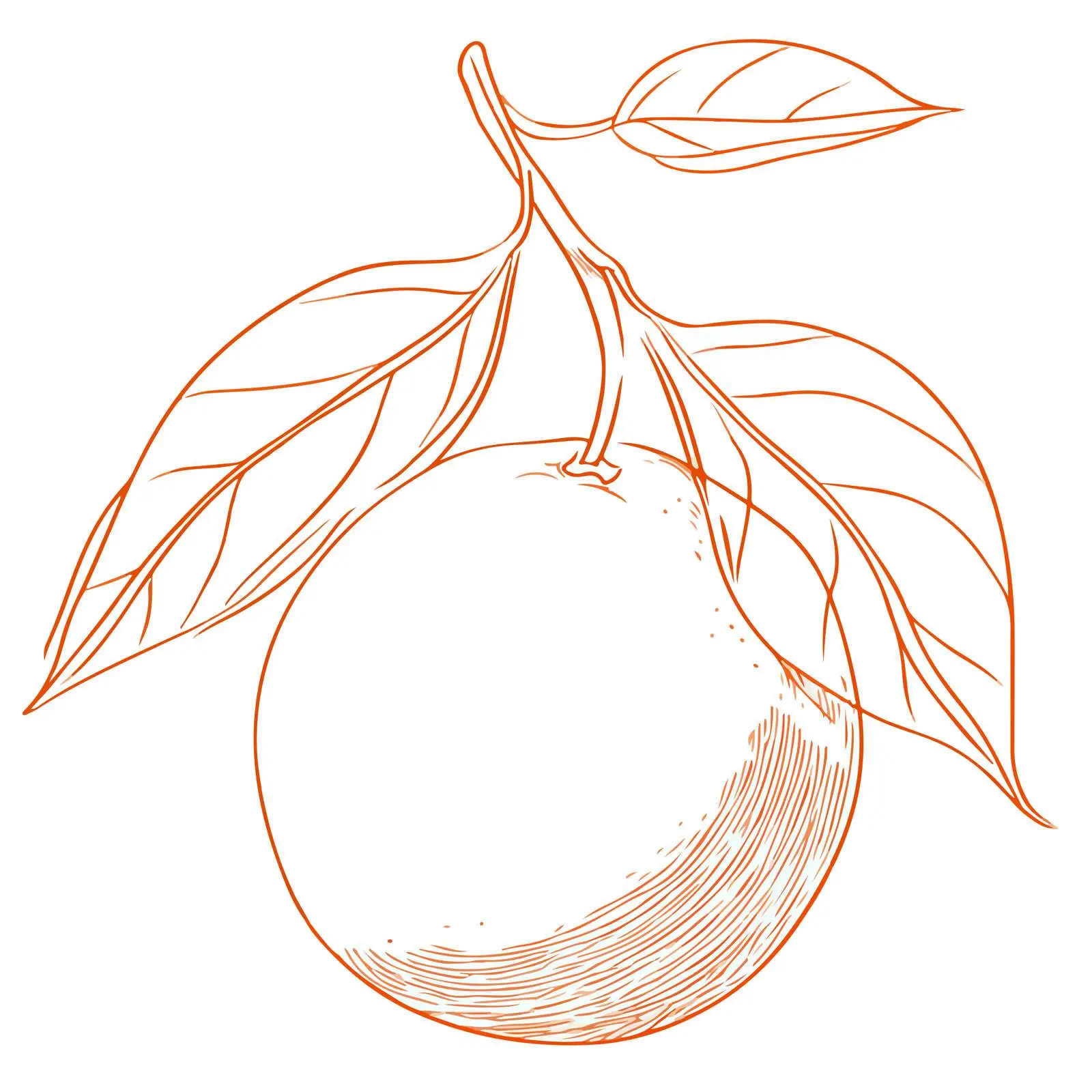 Orange Vector Art — free download from Dotvec