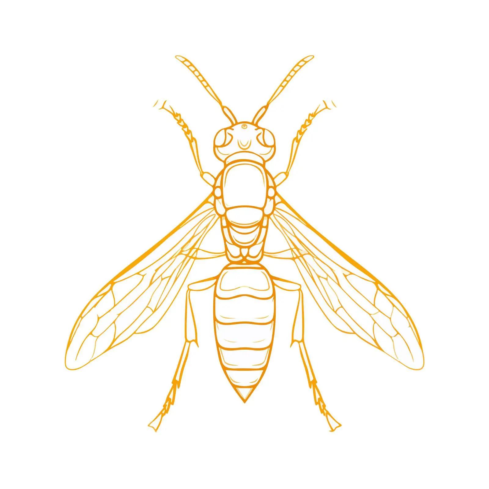 Wasp Line Art Vector Illustration — free download from Dotvec