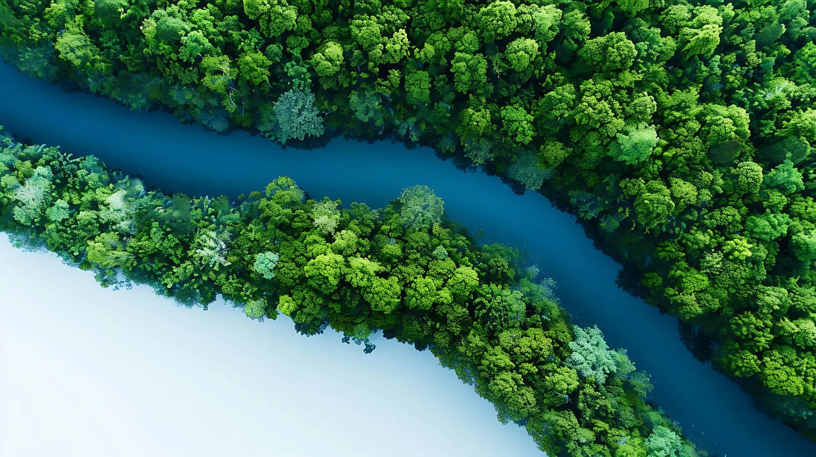 Tranquil River Amid Lush Forest - Aerial Perspective — free download from Dotvec