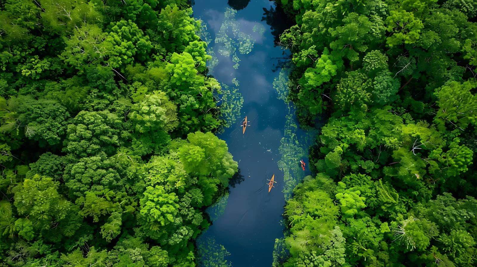 Tranquil River in Forest with Canoeists — free download from Dotvec