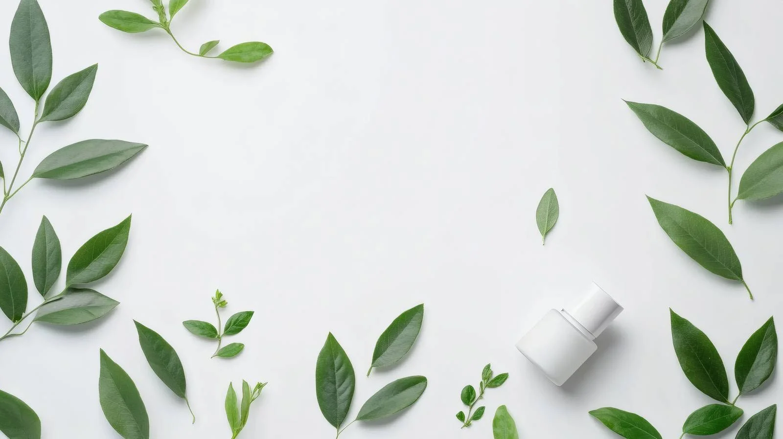 Botanical Skincare and Leaves on White Background — free download from Dotvec