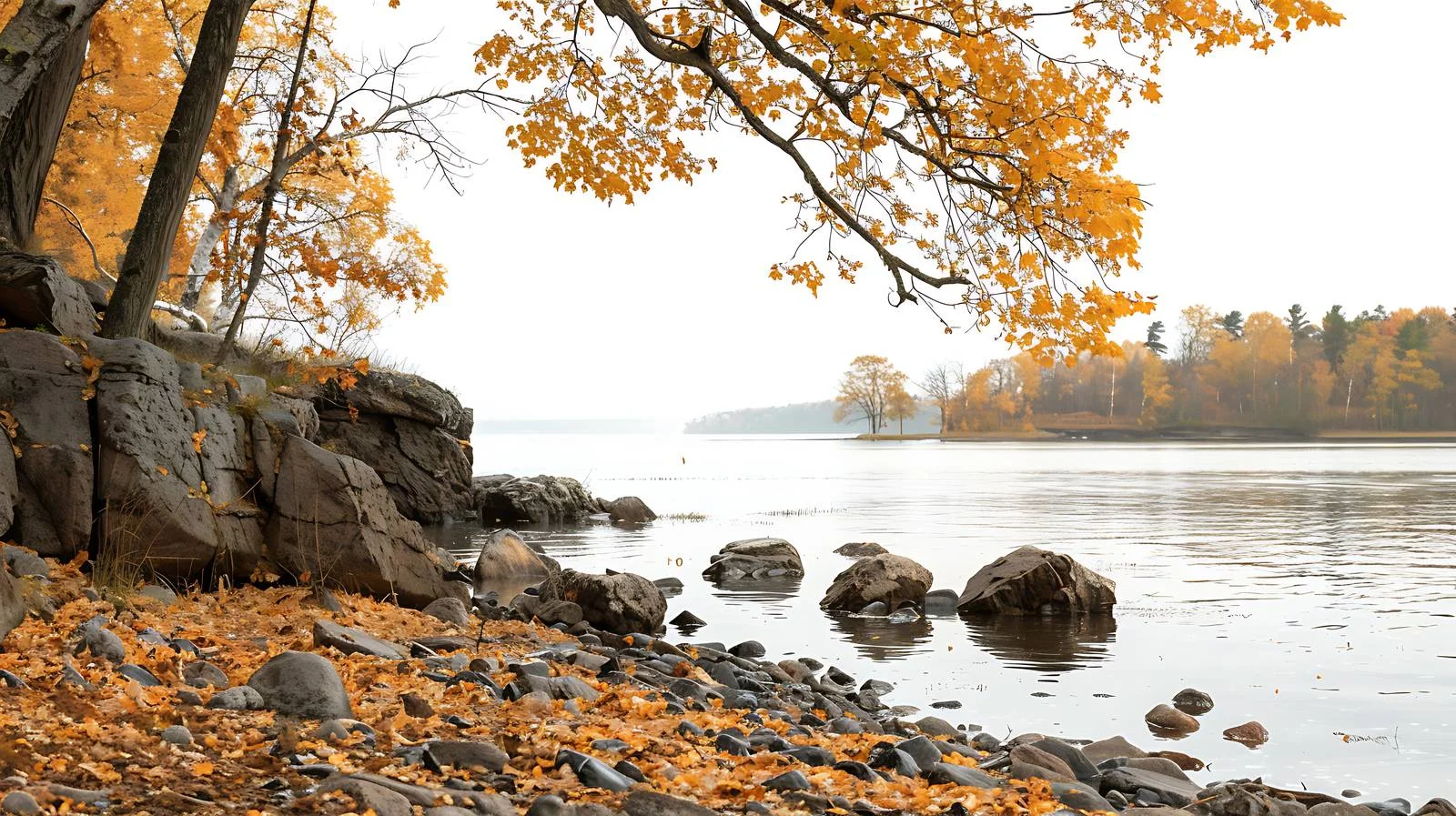 Tranquil Northern Lakeshore Scene with Trees — free download from Dotvec
