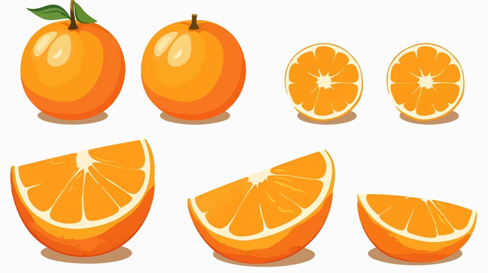 Sliced Oranges on White Background — free download from Dotvec