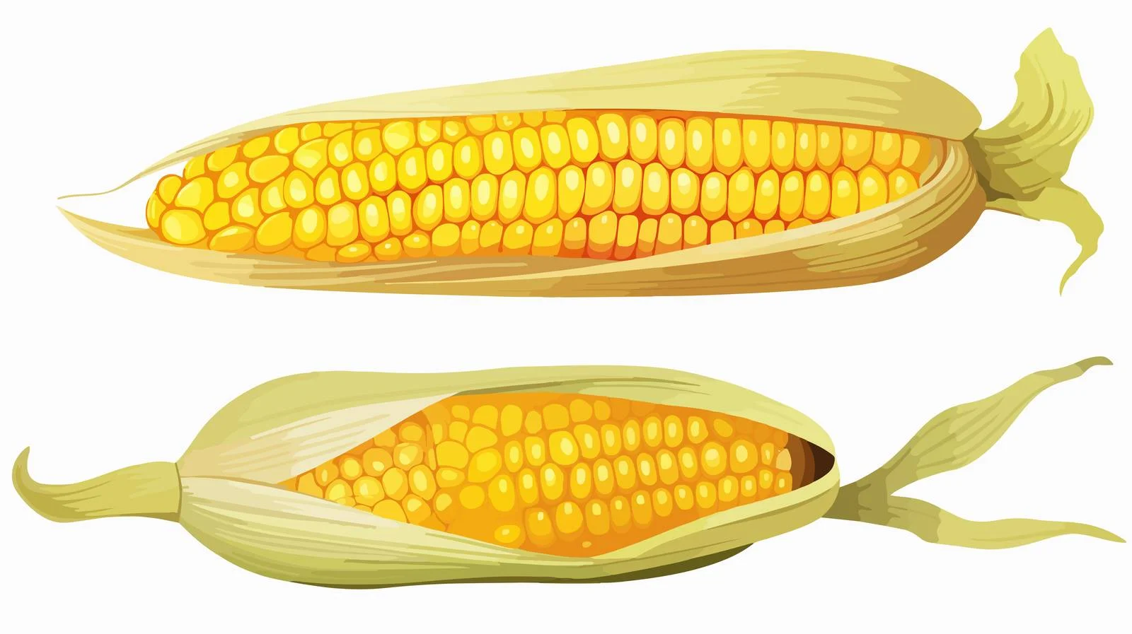 Yellow Corn Ears Vector Illustration — free download from Dotvec