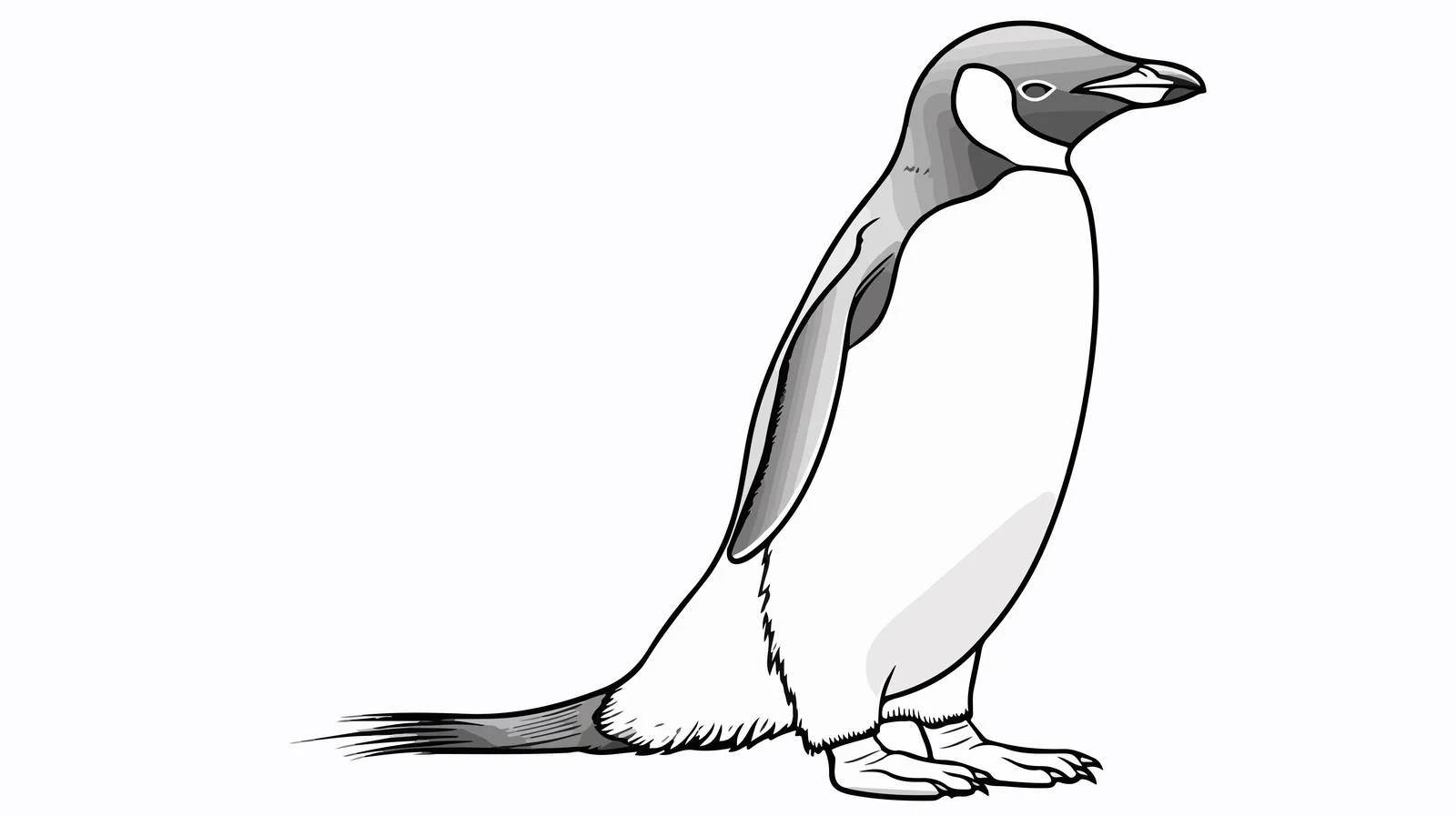 Penguin Drawing for Web Design — free download from Dotvec