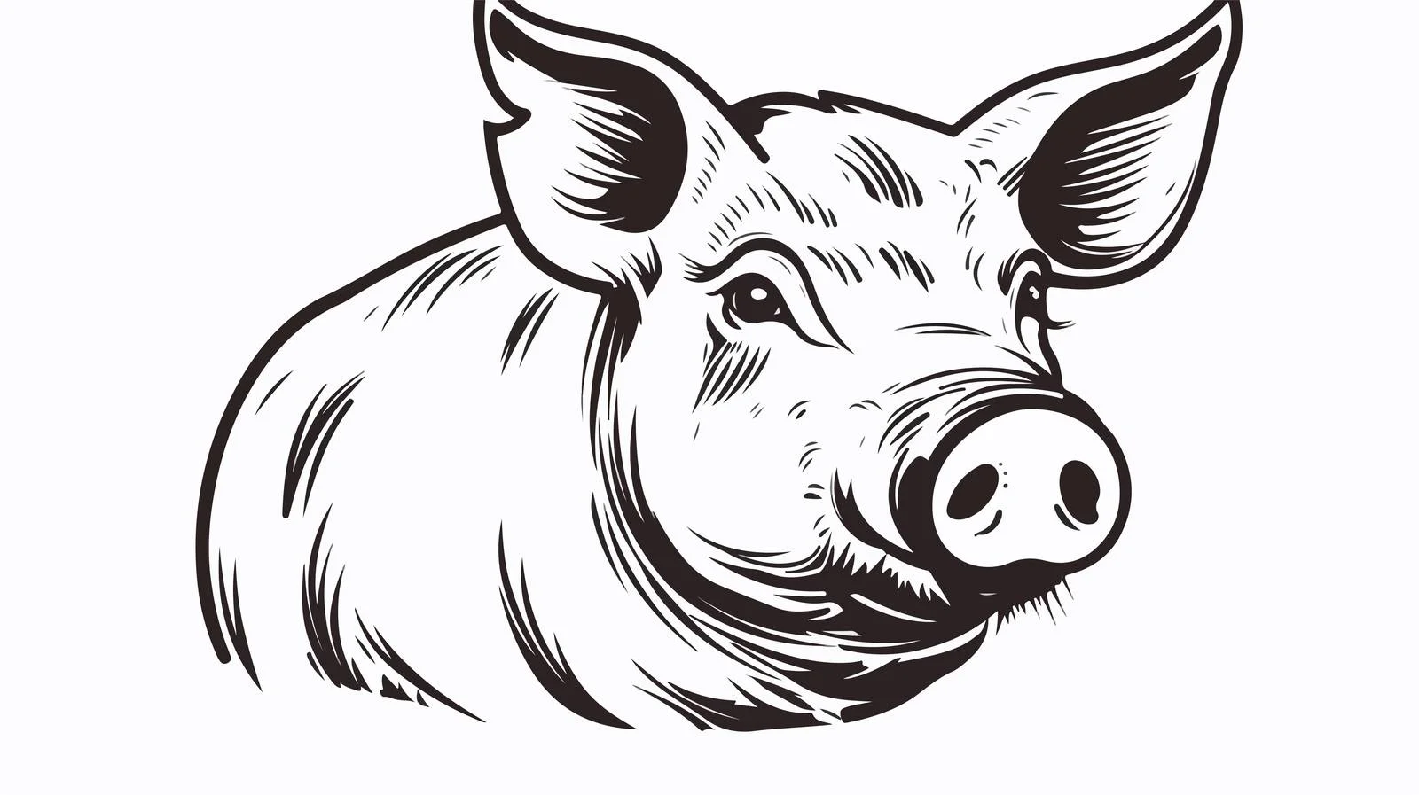 Hand-drawn Pig Face Doodle Sketch — free download from Dotvec