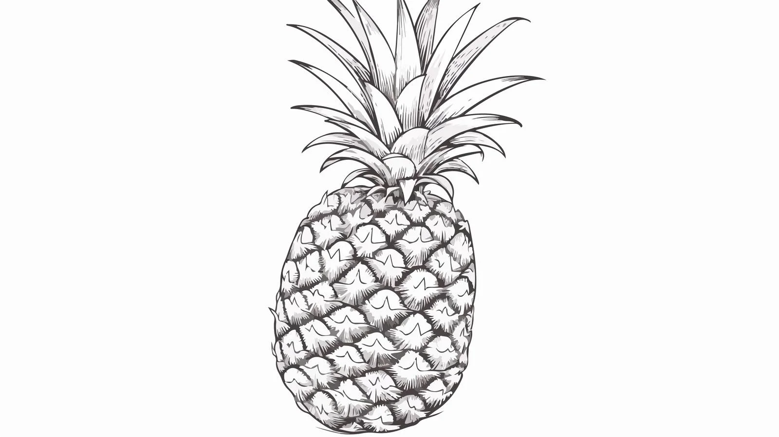 Hand-Drawn Pineapple Doodle Sketch — free download from Dotvec