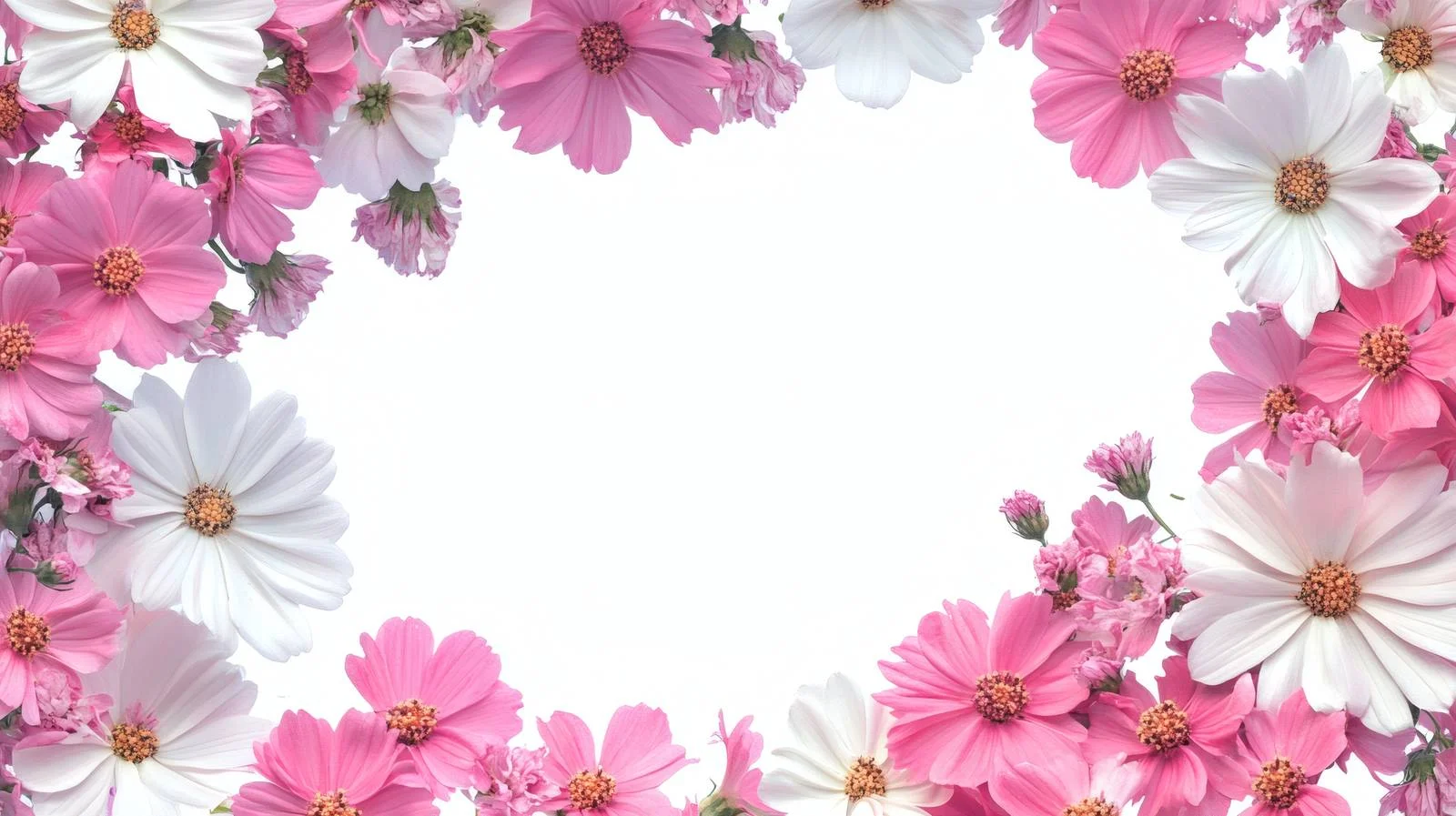 Elegant Pink and White Floral Background — free download from Dotvec