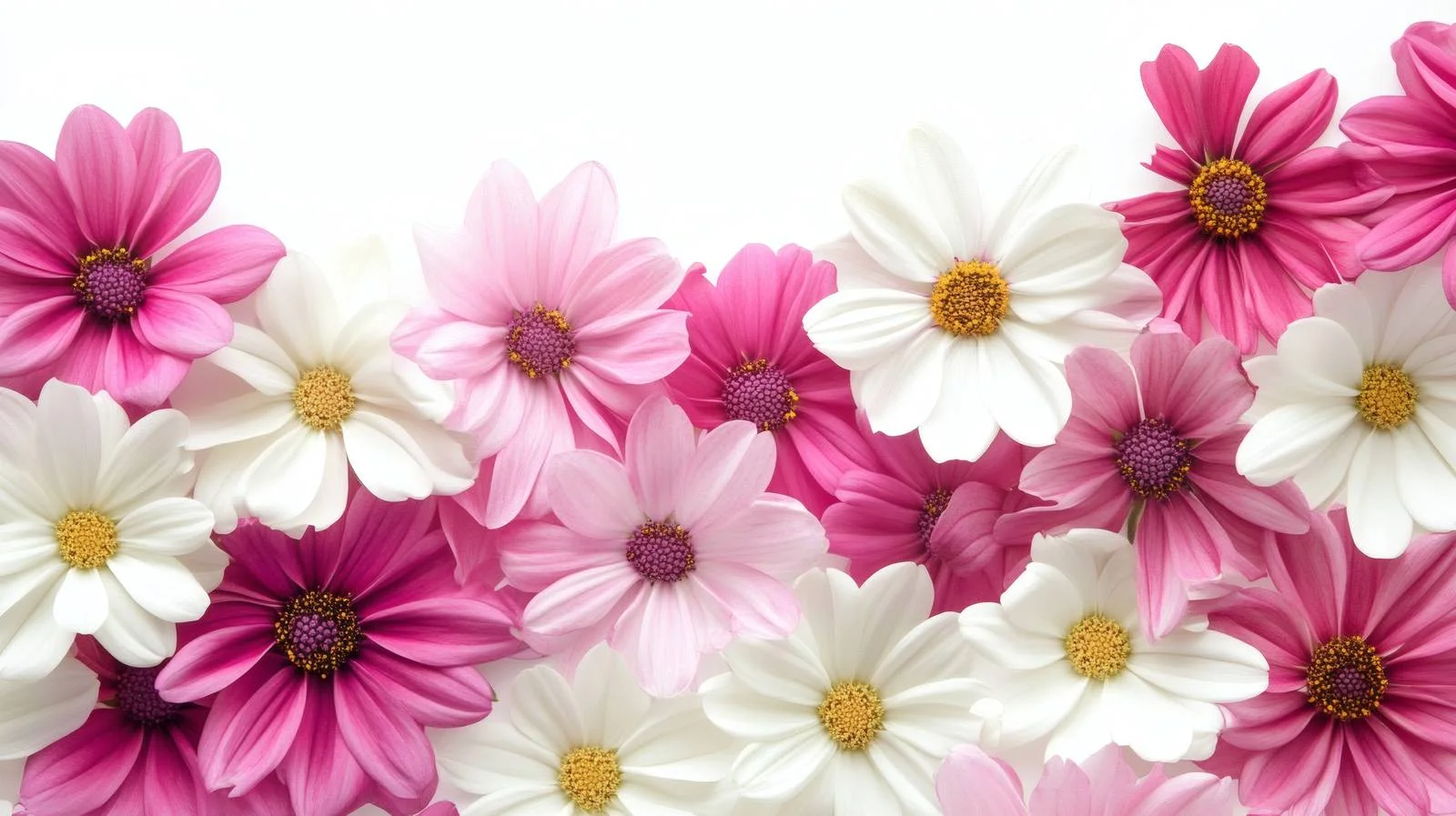 Elegant Pink and White Floral Arrangement — free download from Dotvec