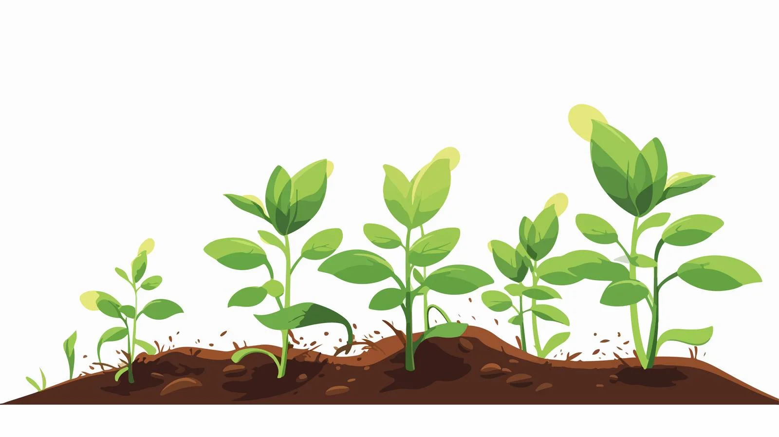 Seedlings Sprouting from Seeds Illustration — free download from Dotvec