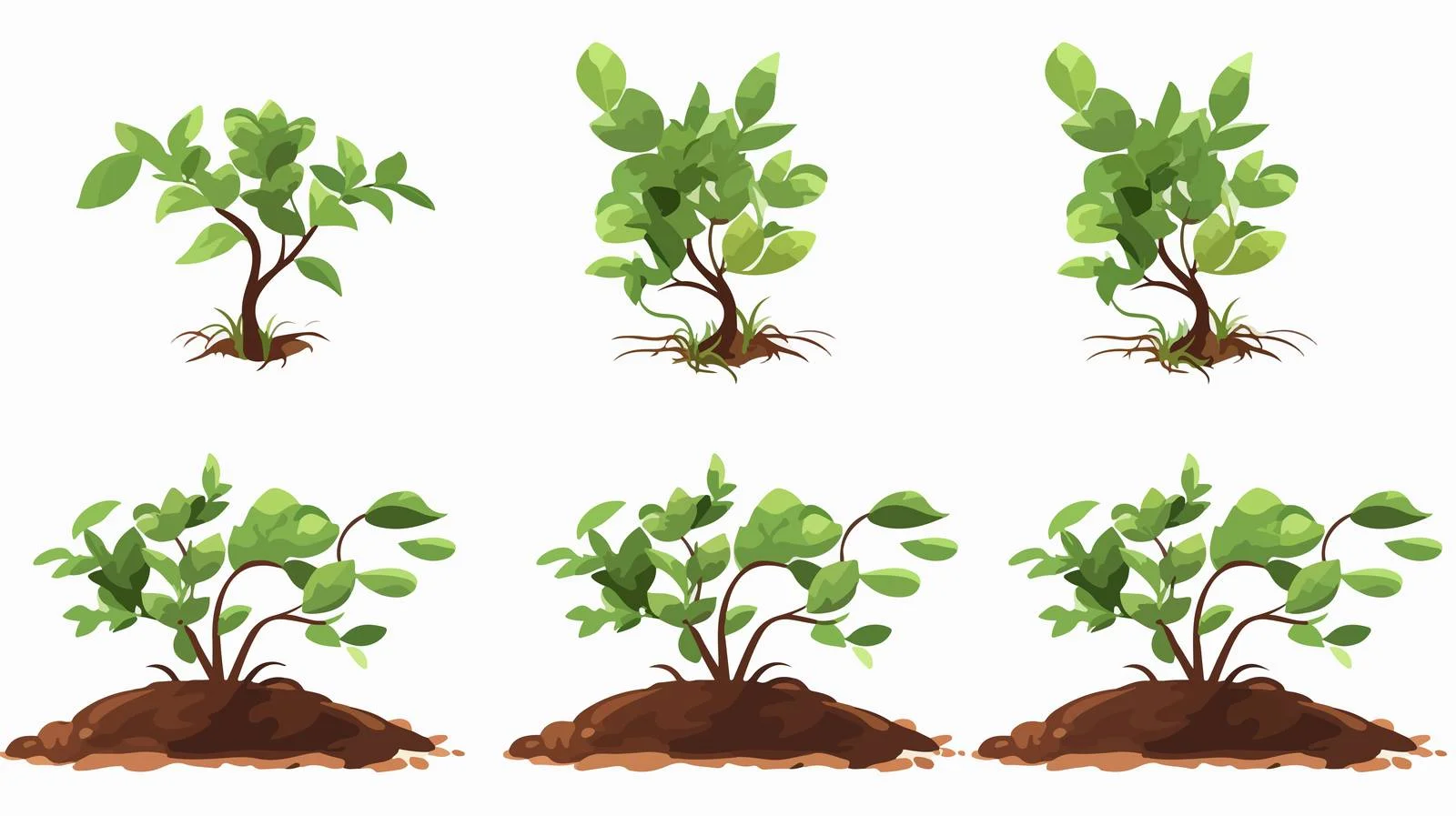 Seedlings Sprouting from Seeds Vector Illustration — free download from Dotvec