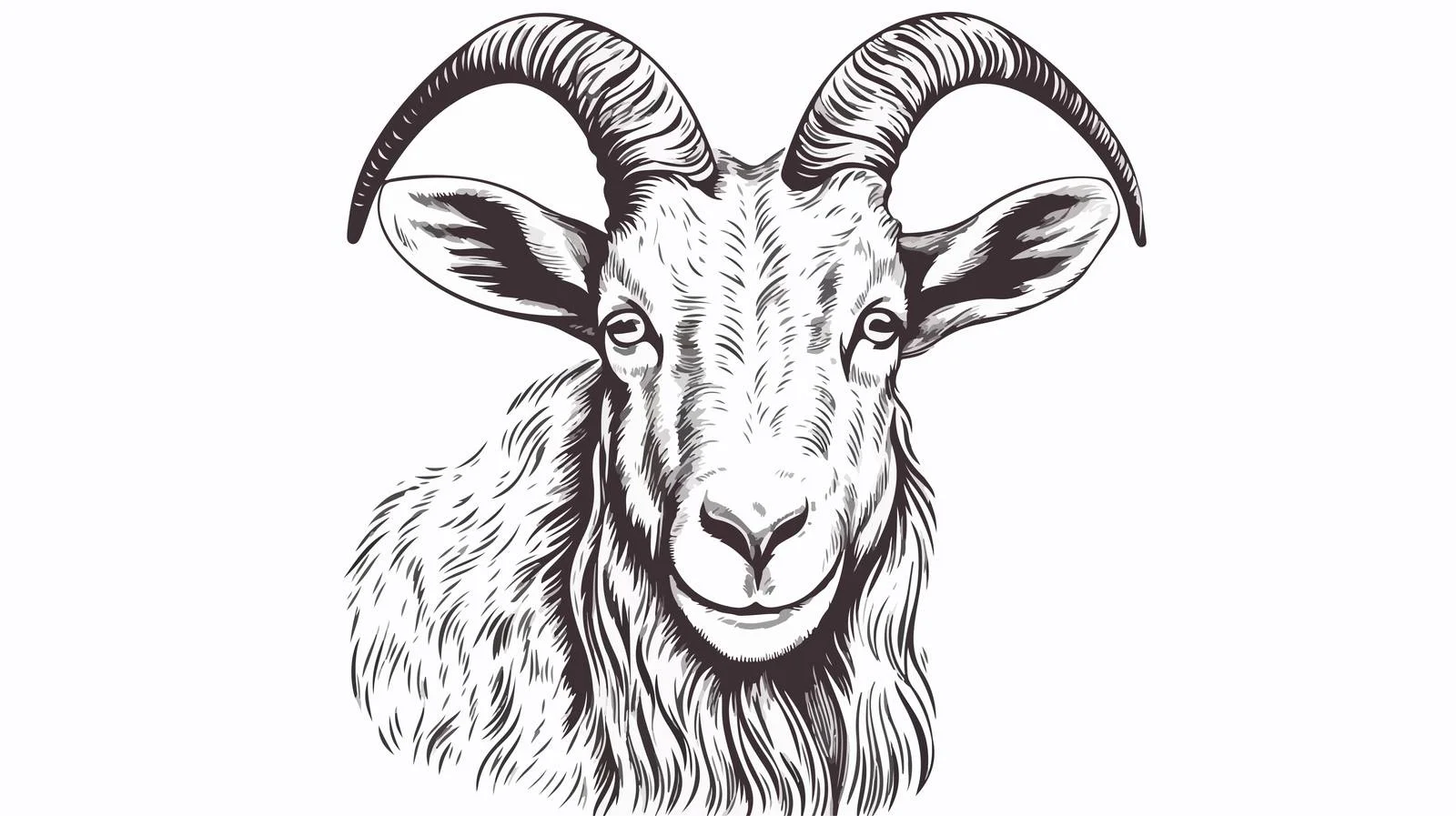 Goat Head Engraving Sketch Portrait — free download from Dotvec
