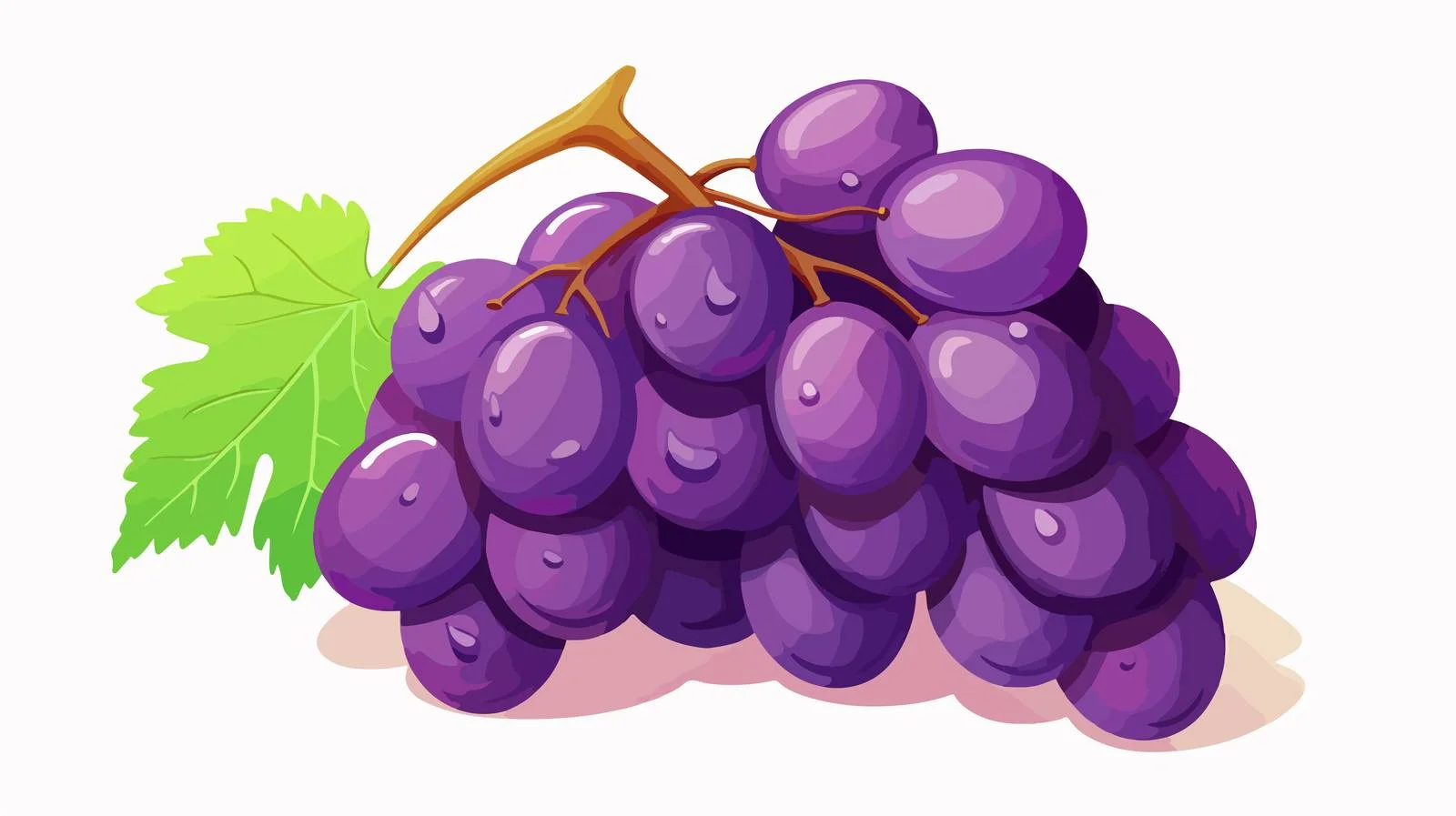 Nutritious Purple Grapes for Vegetarians — free download from Dotvec