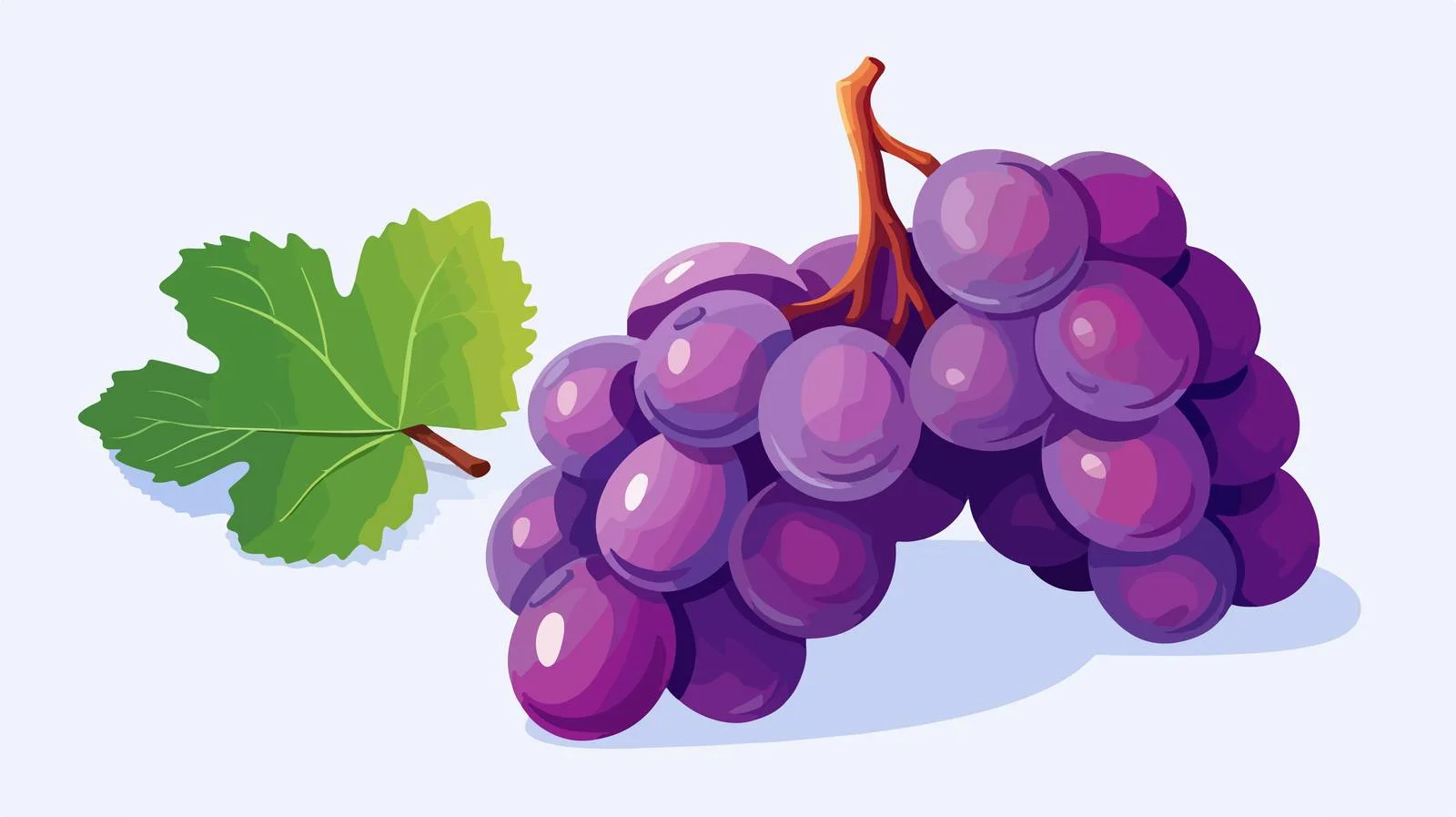 Nutritious Purple Grapes — free download from Dotvec
