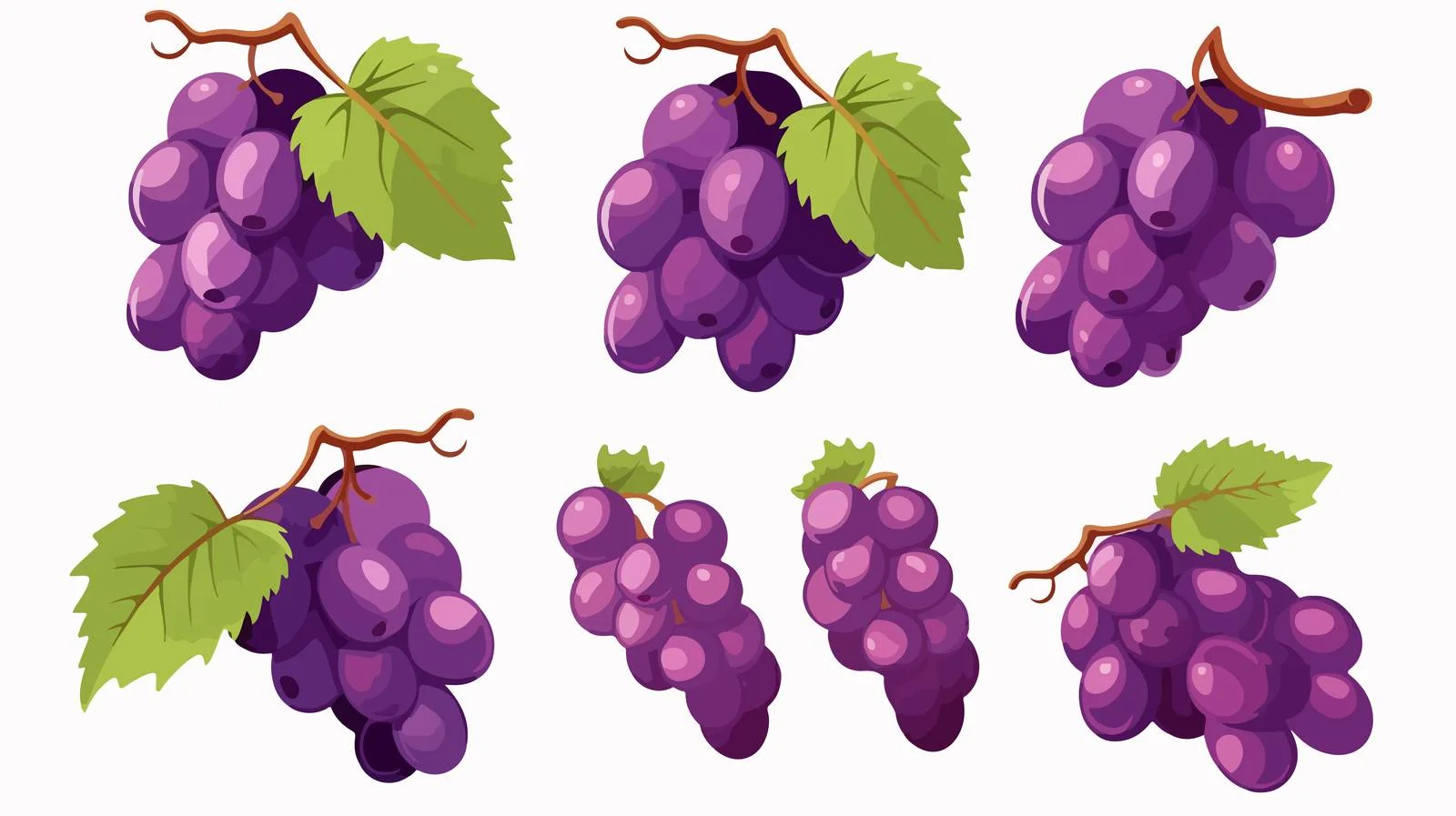 Nutritious Purple Grapes — free download from Dotvec