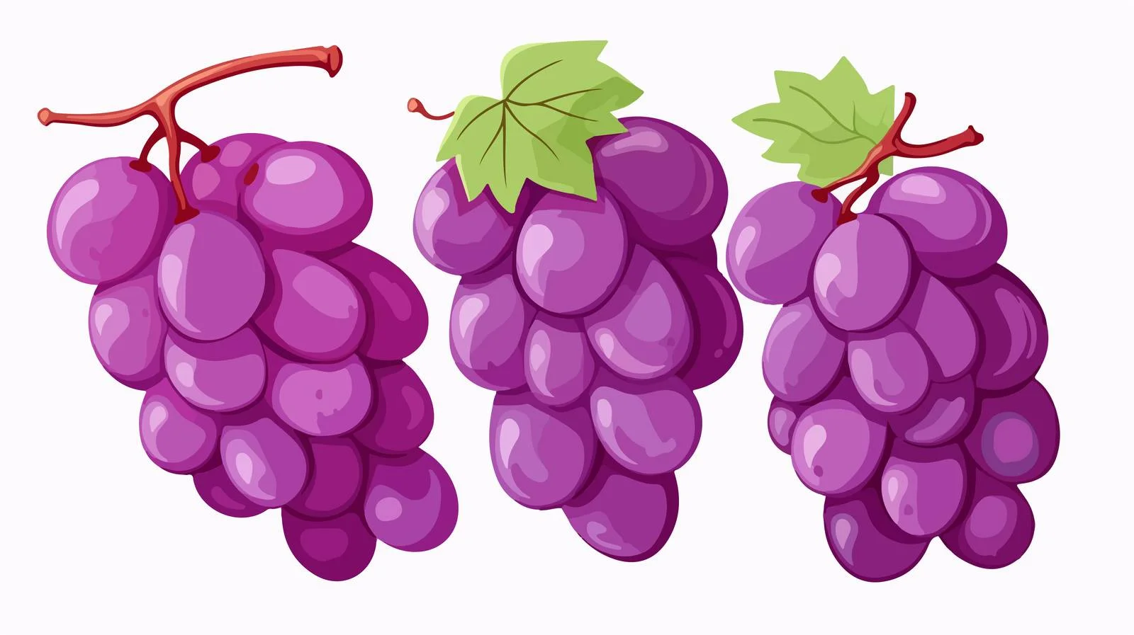 Nutritious Purple Grapes — free download from Dotvec