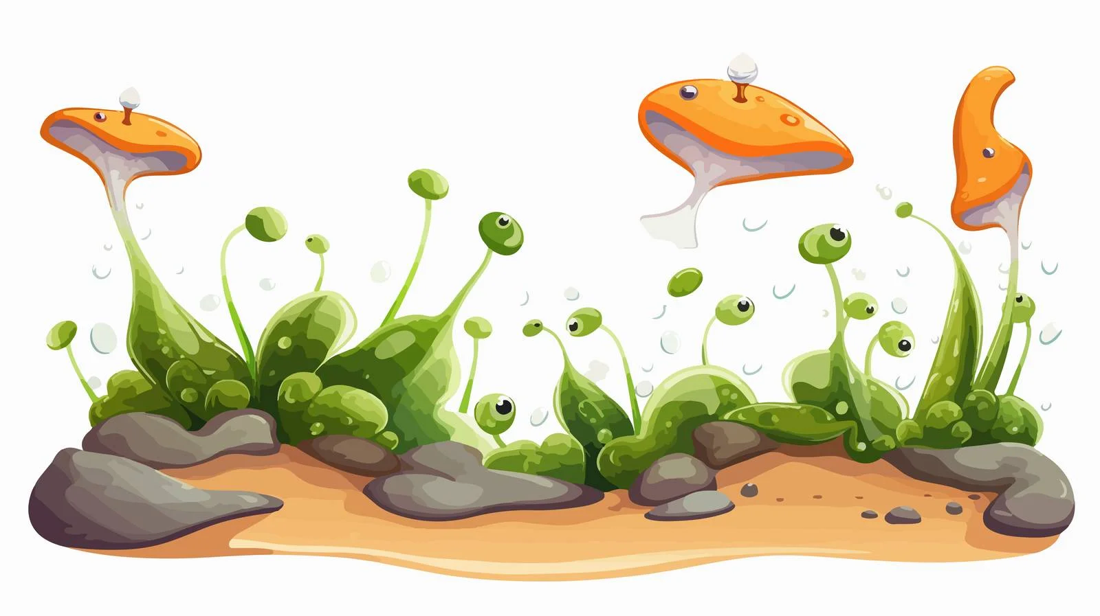 Planaria Regeneration Vector Illustration — free download from Dotvec