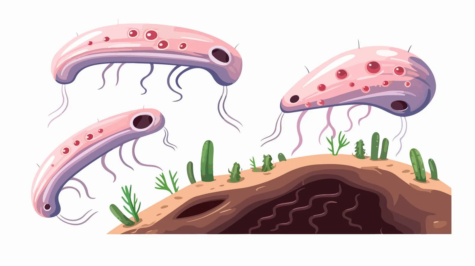 Internal Structure Science Education — free download from Dotvec