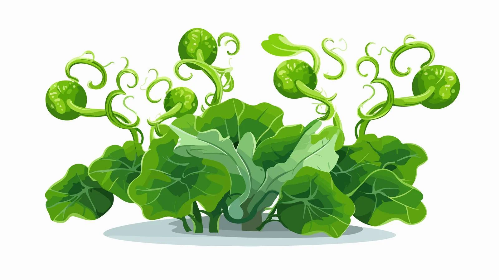 Hydra Budding Process Illustrated — free download from Dotvec