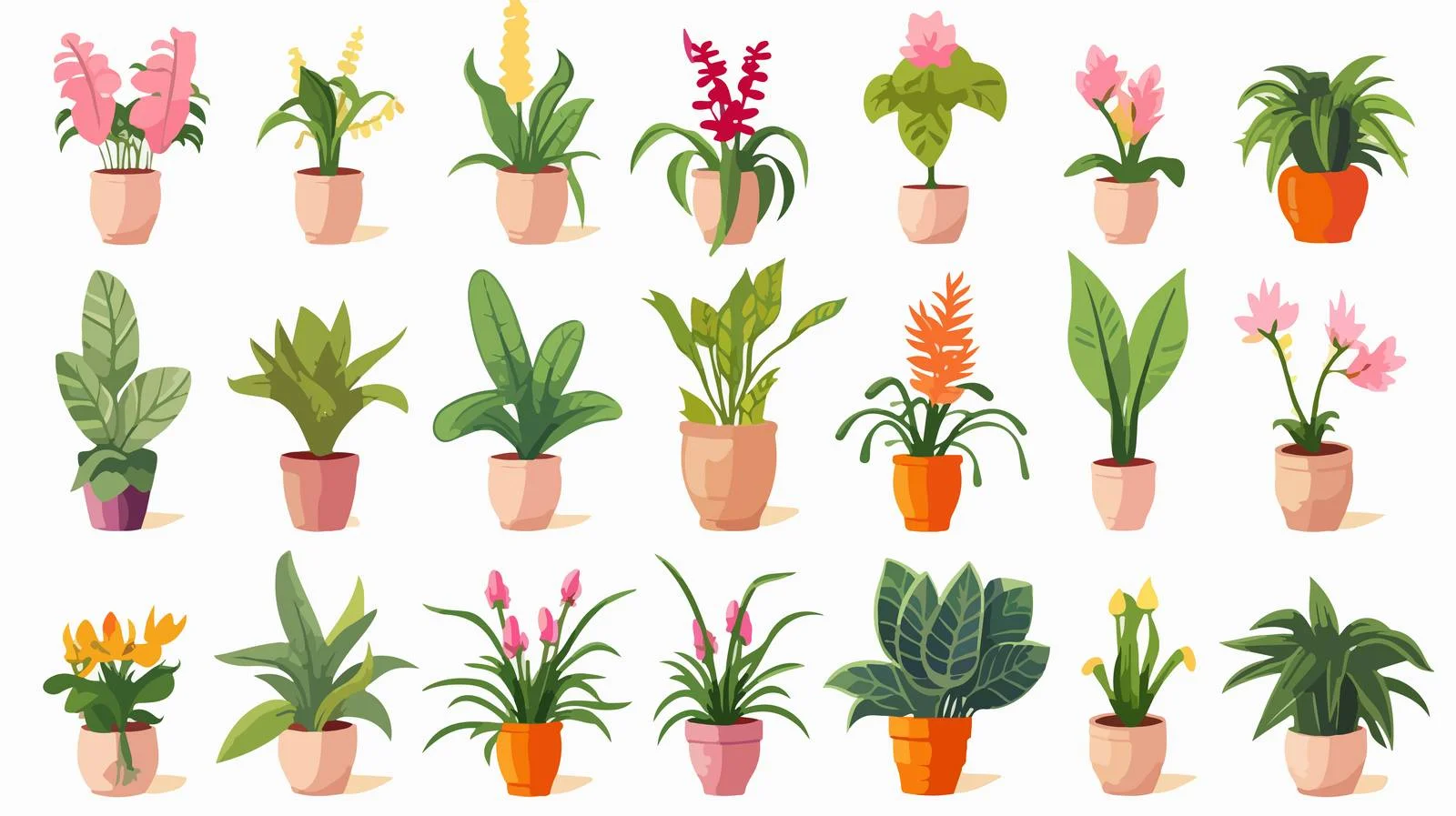 Houseplant Outline Drawings Collection — free download from Dotvec