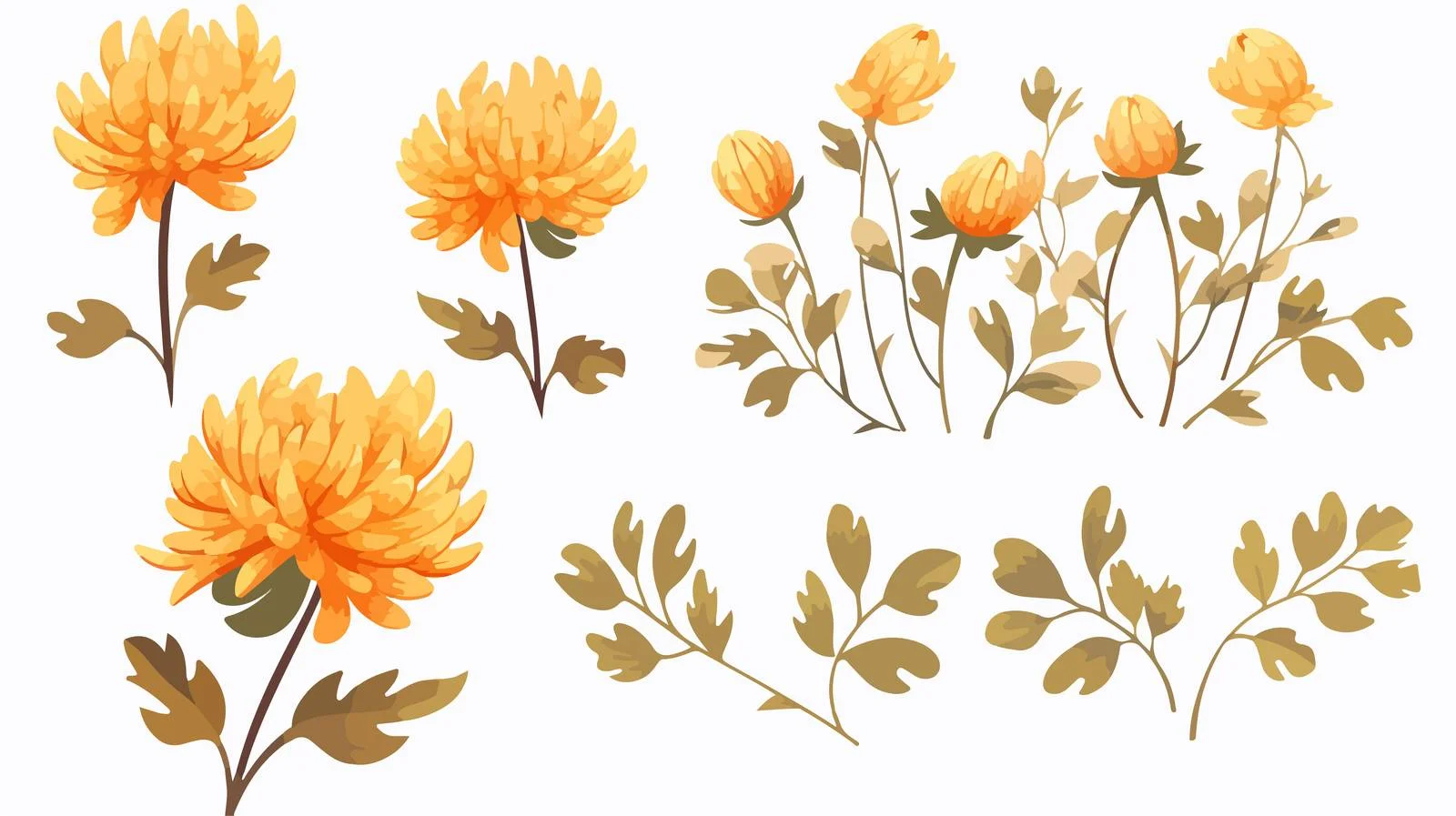 Hand Drawn Chrysanthemum Flowers Set — free download from Dotvec